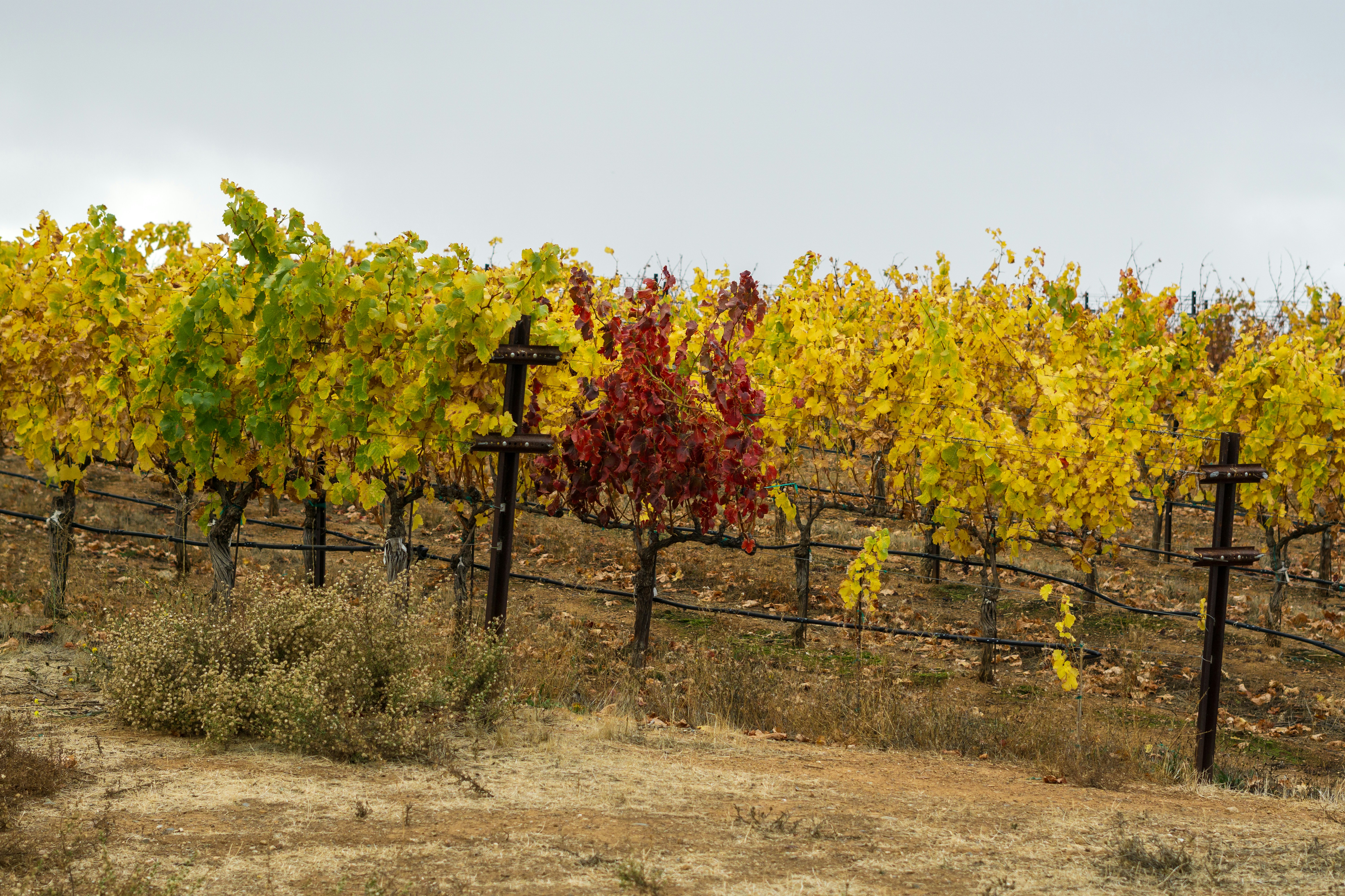 Photo by spencer_demera