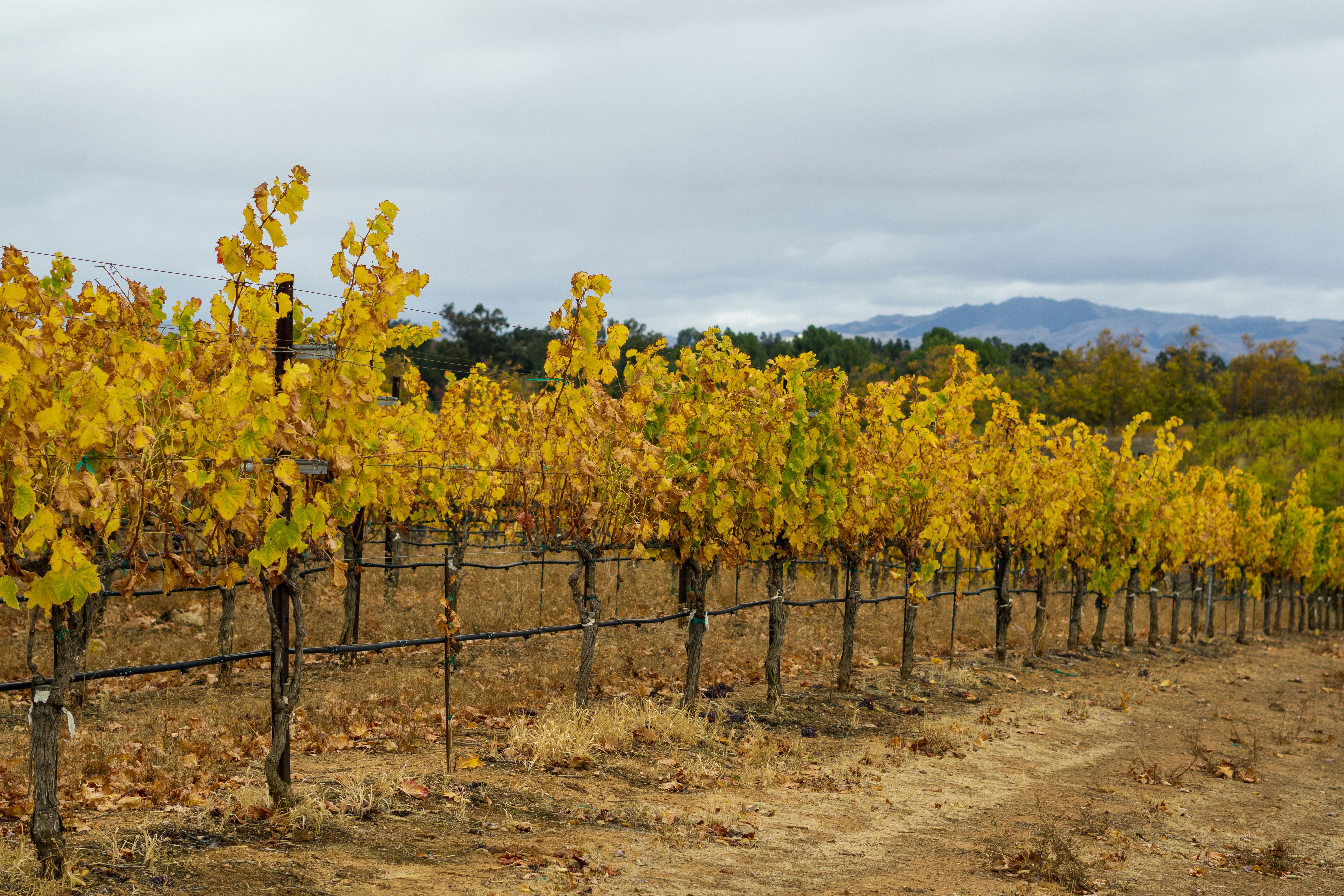 Photo by spencer_demera