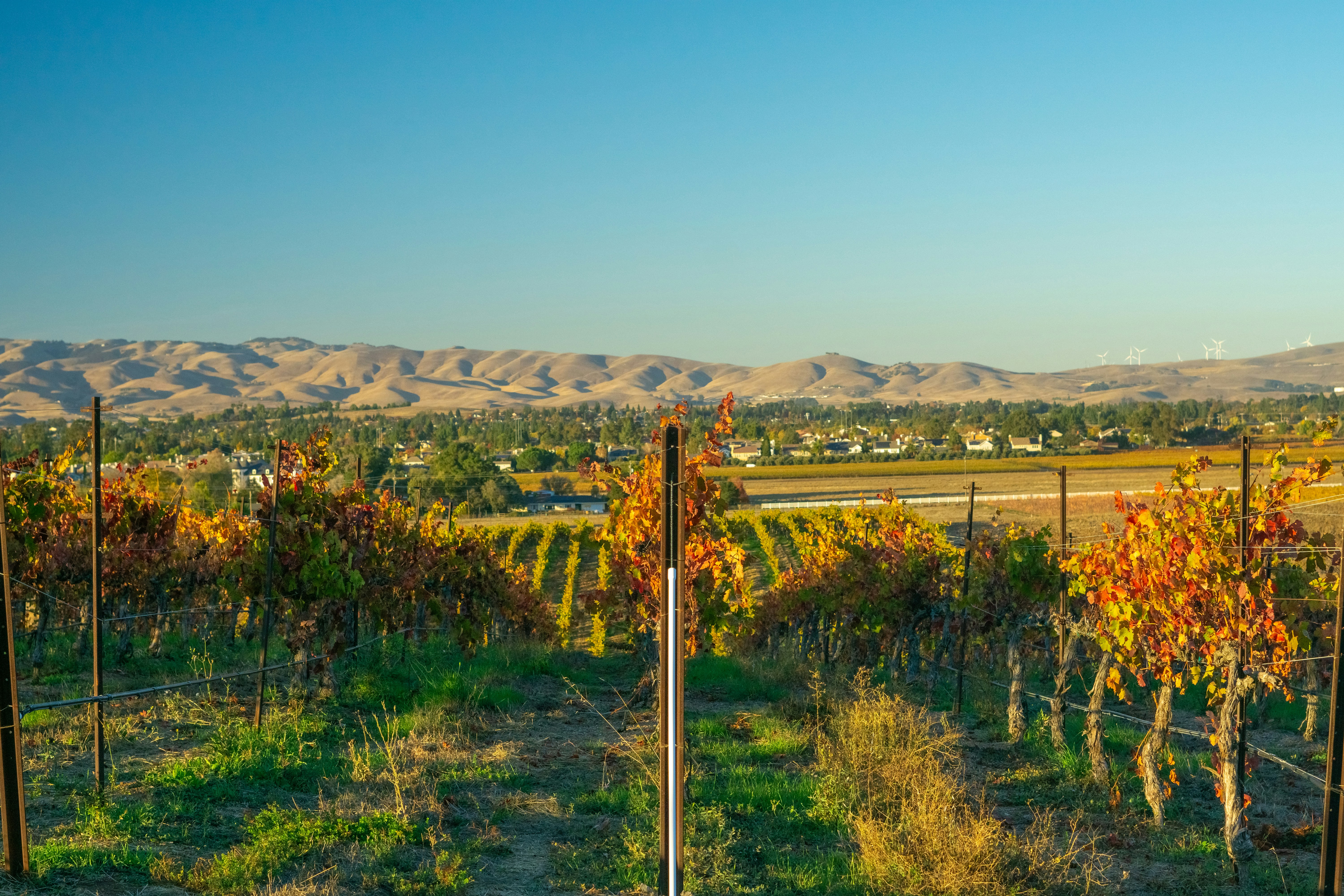 Photo by spencer_demera