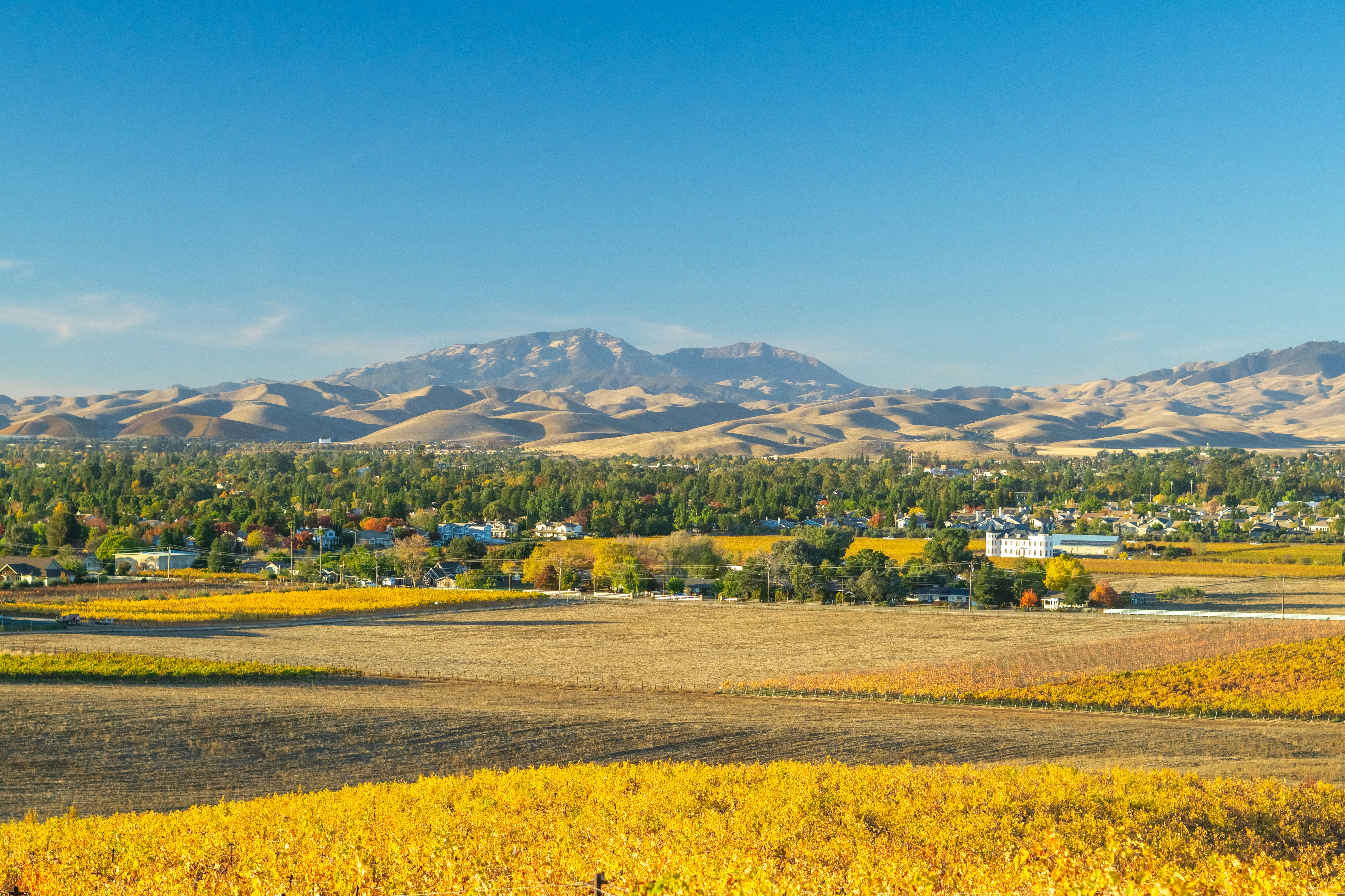 Photo by spencer_demera