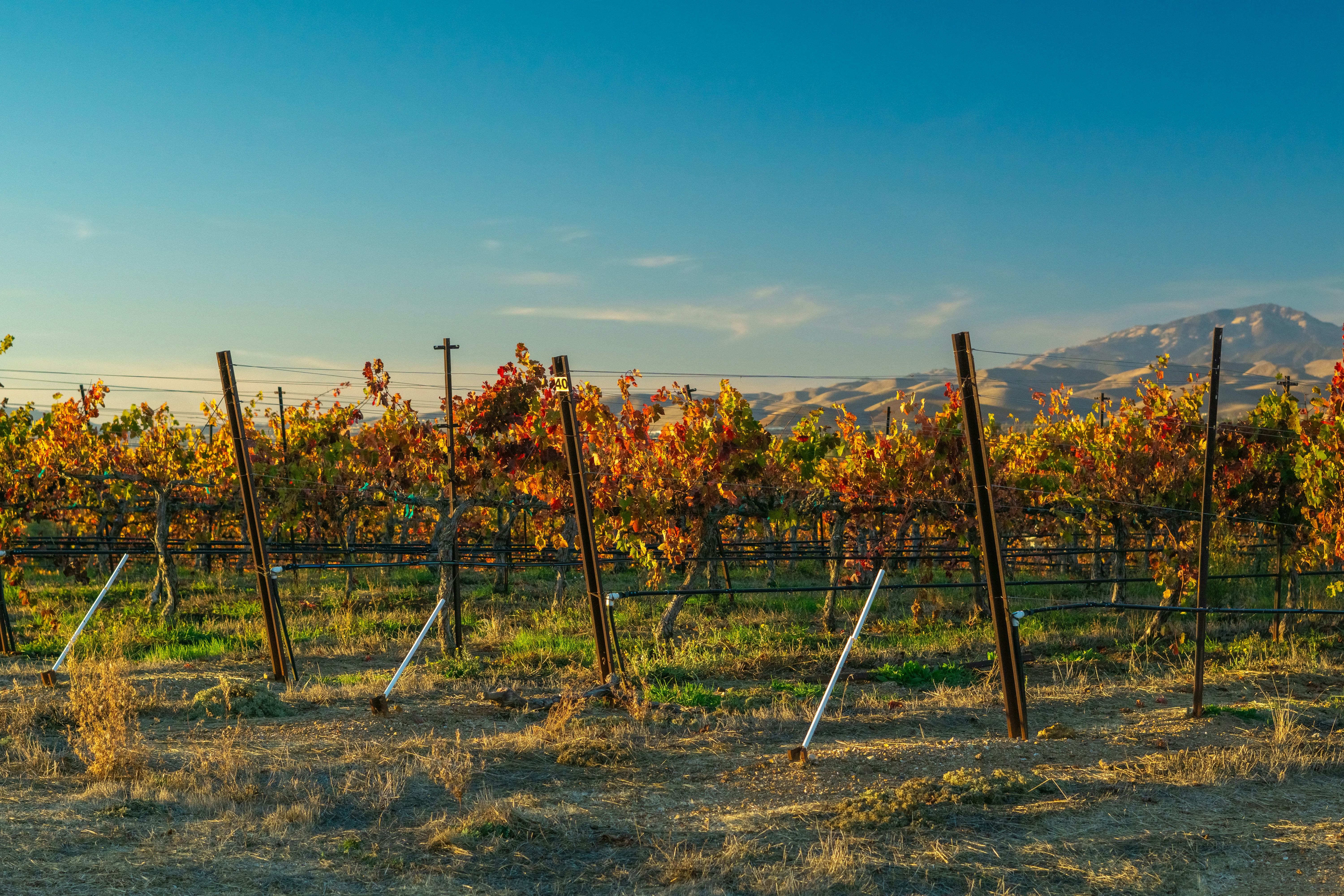 Photo by spencer_demera