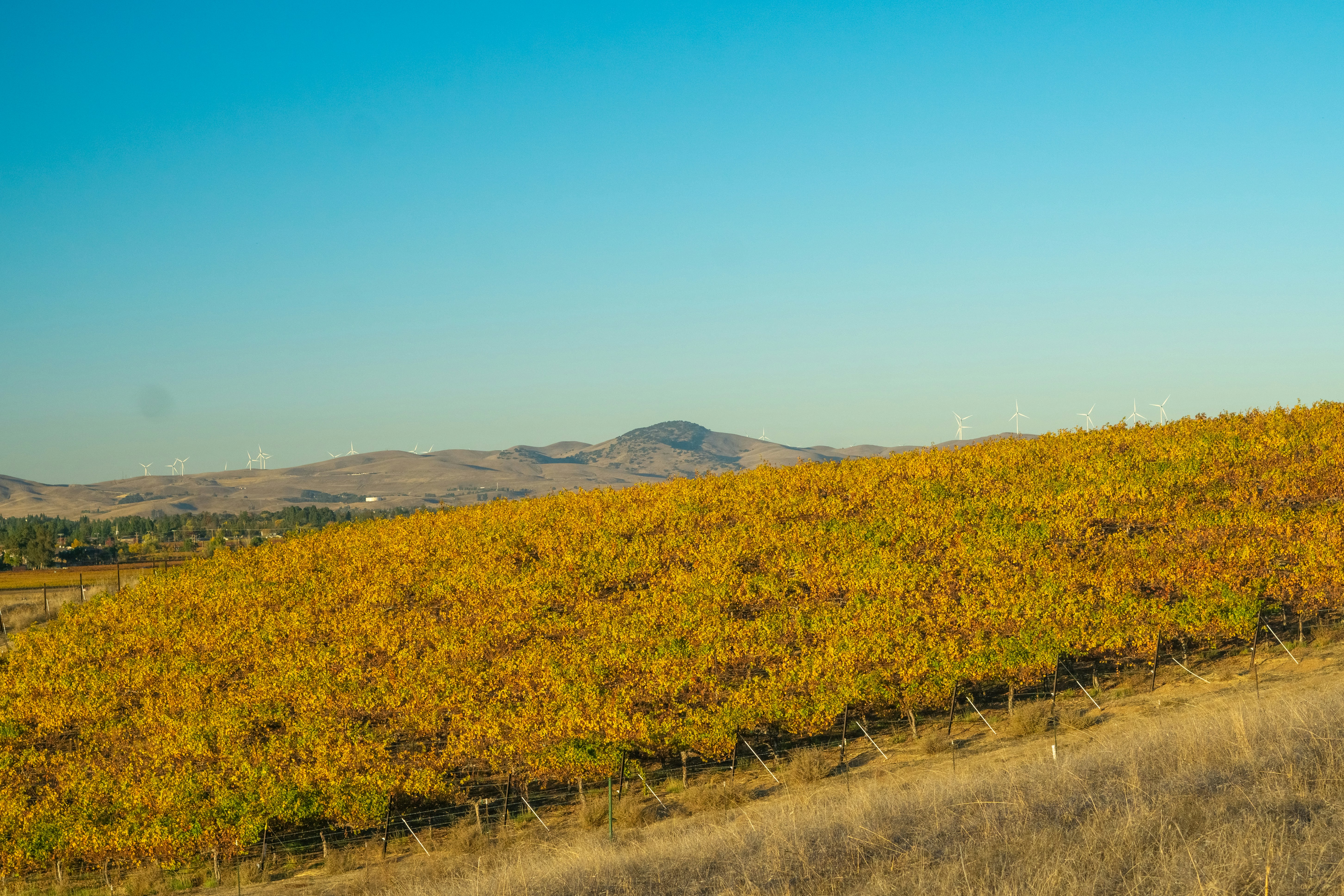 Photo by spencer_demera