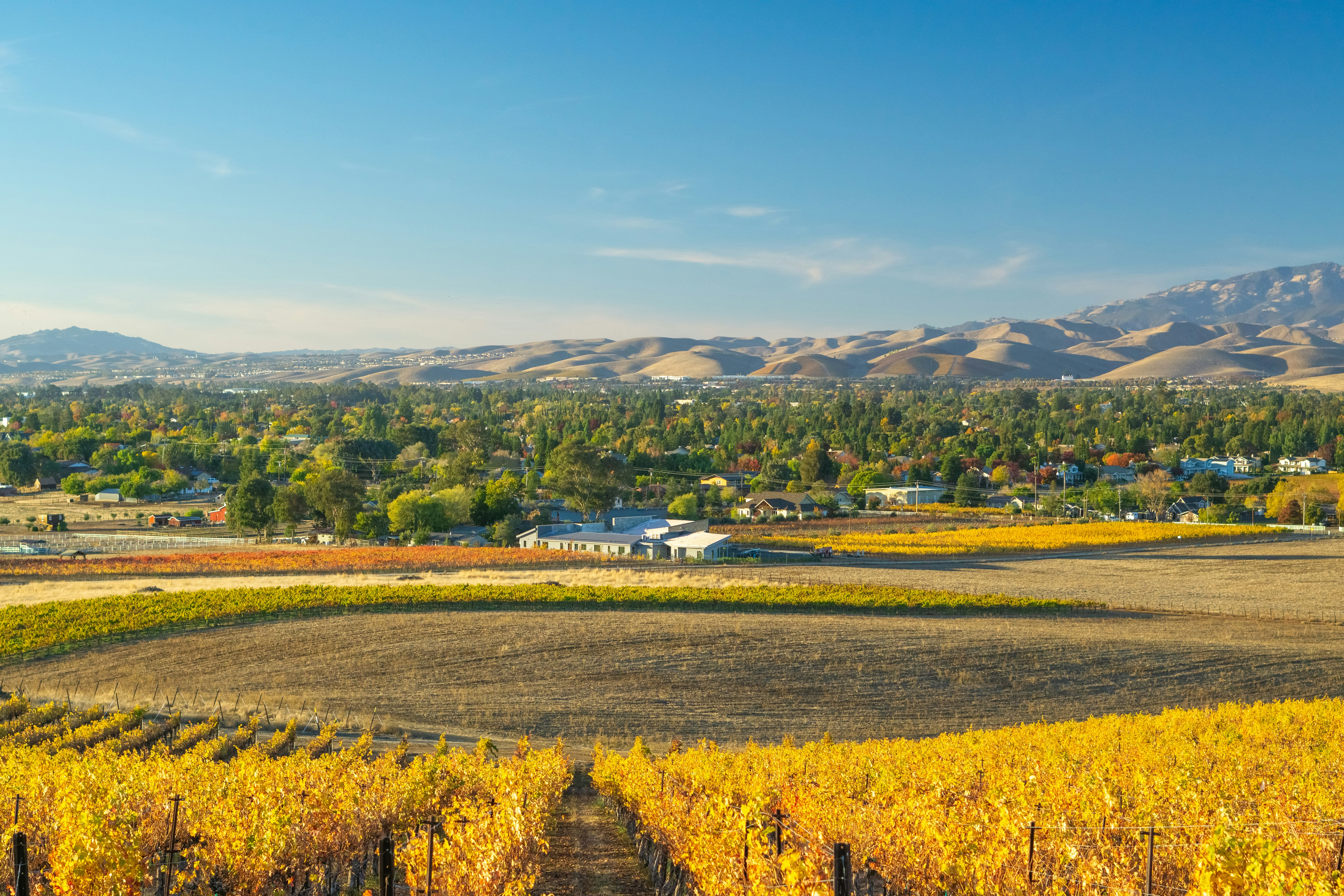 Photo by spencer_demera