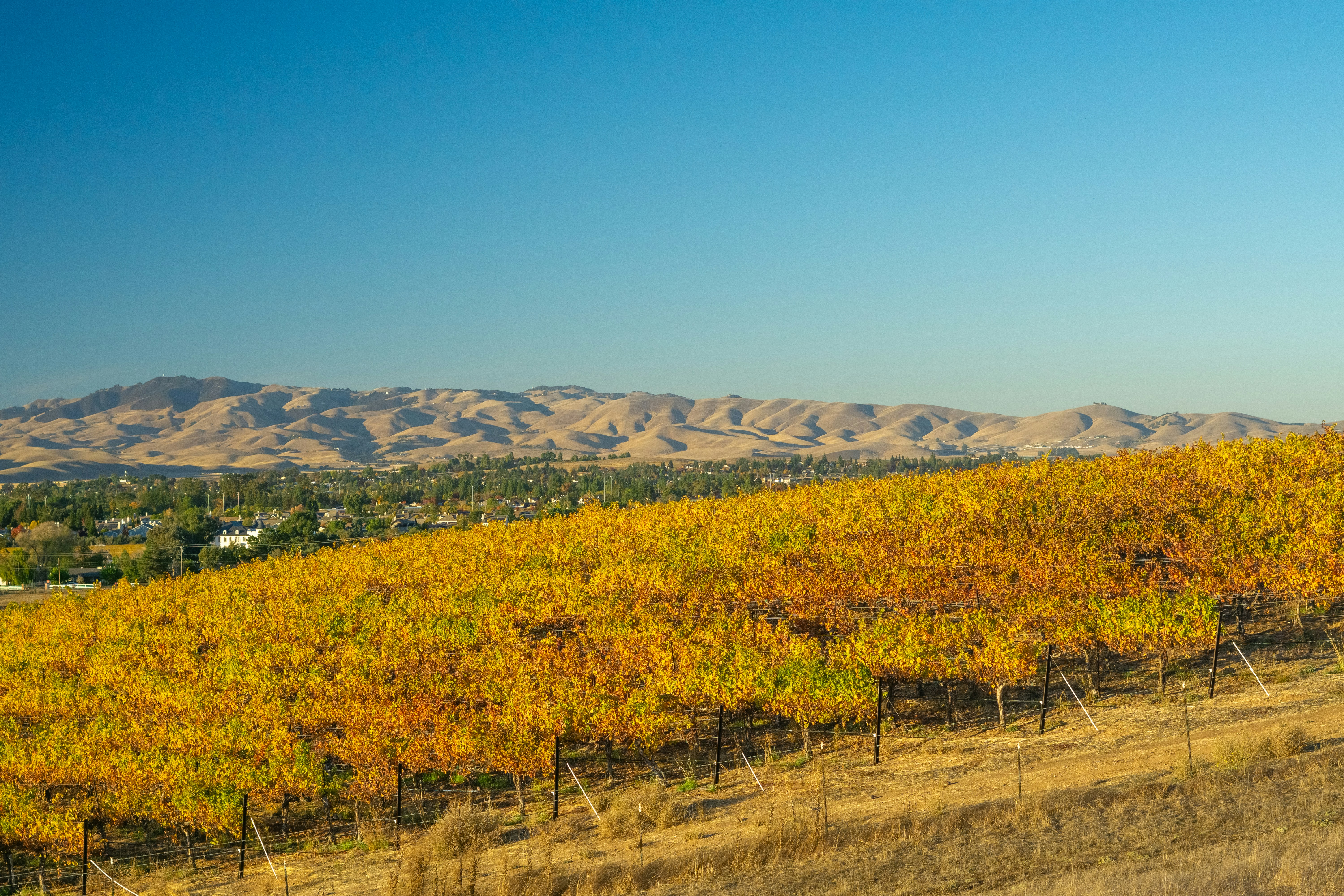 Photo by spencer_demera