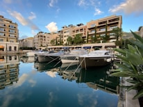 A serene marina with yachts docked, highlighting maintenance activities.