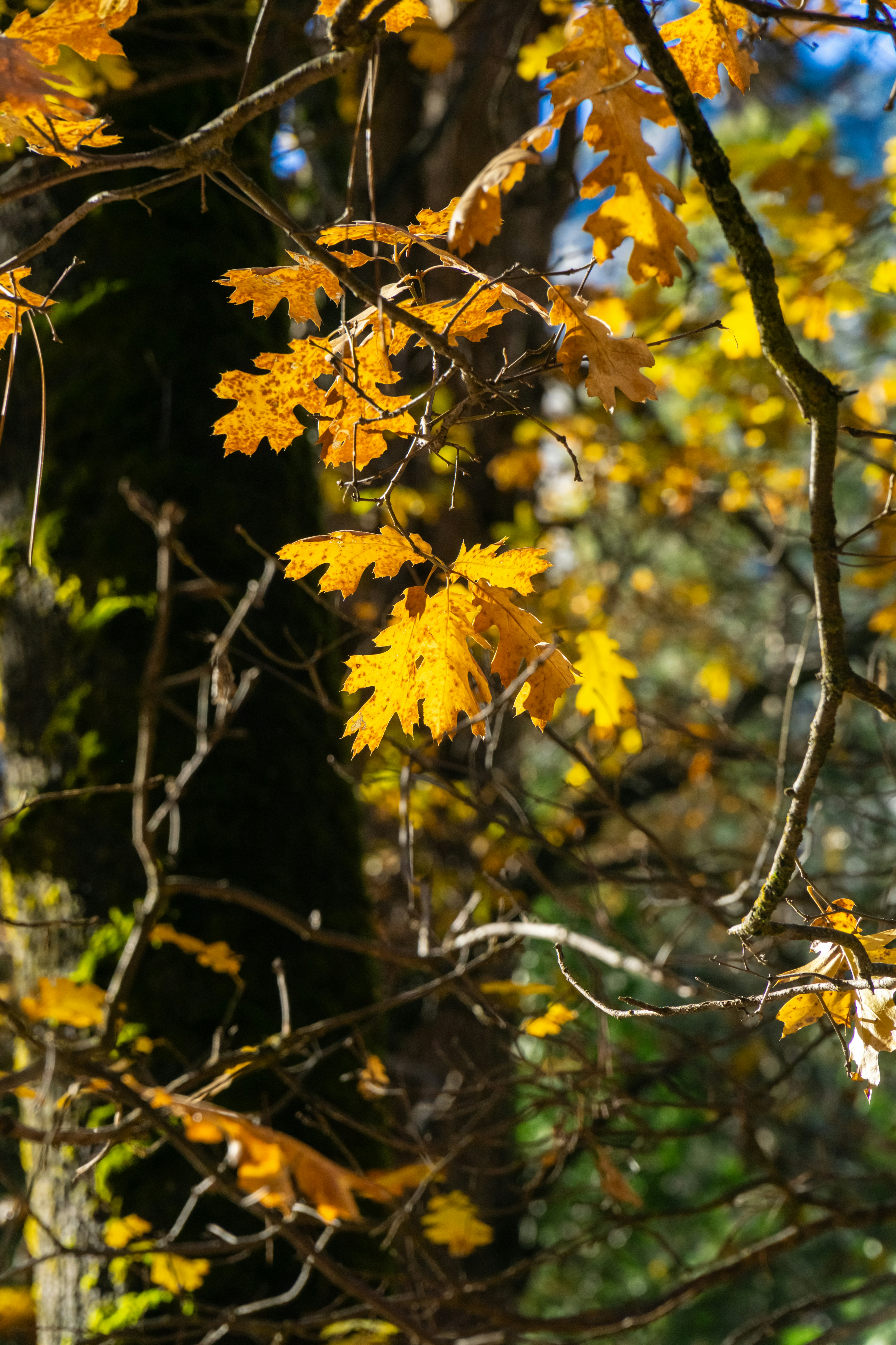 Photo by spencer_demera