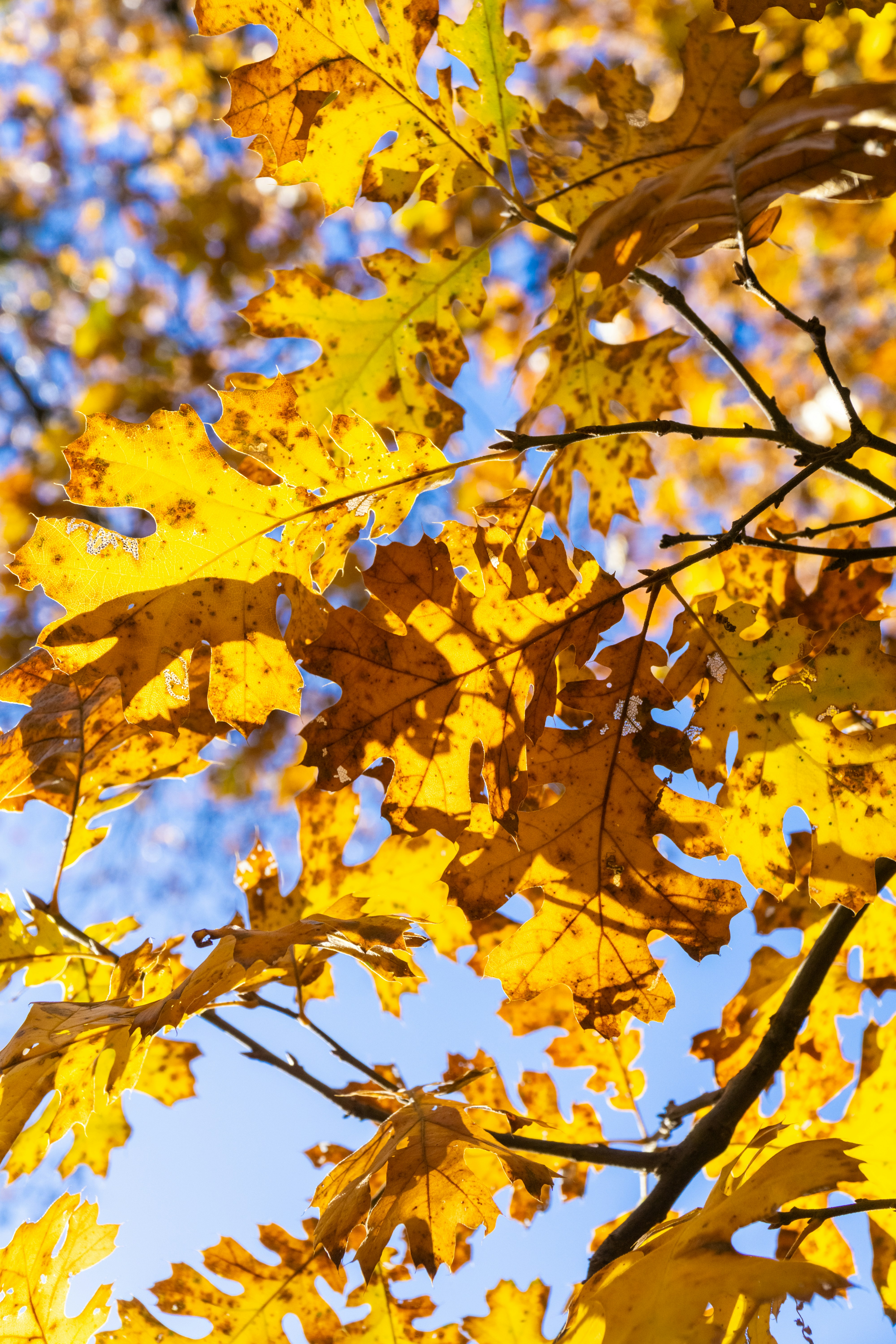 Photo by spencer_demera