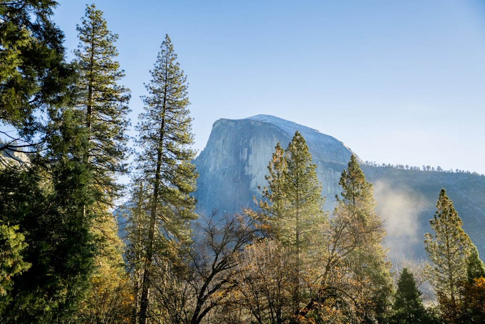 a view of a mountain with trees in the foreground