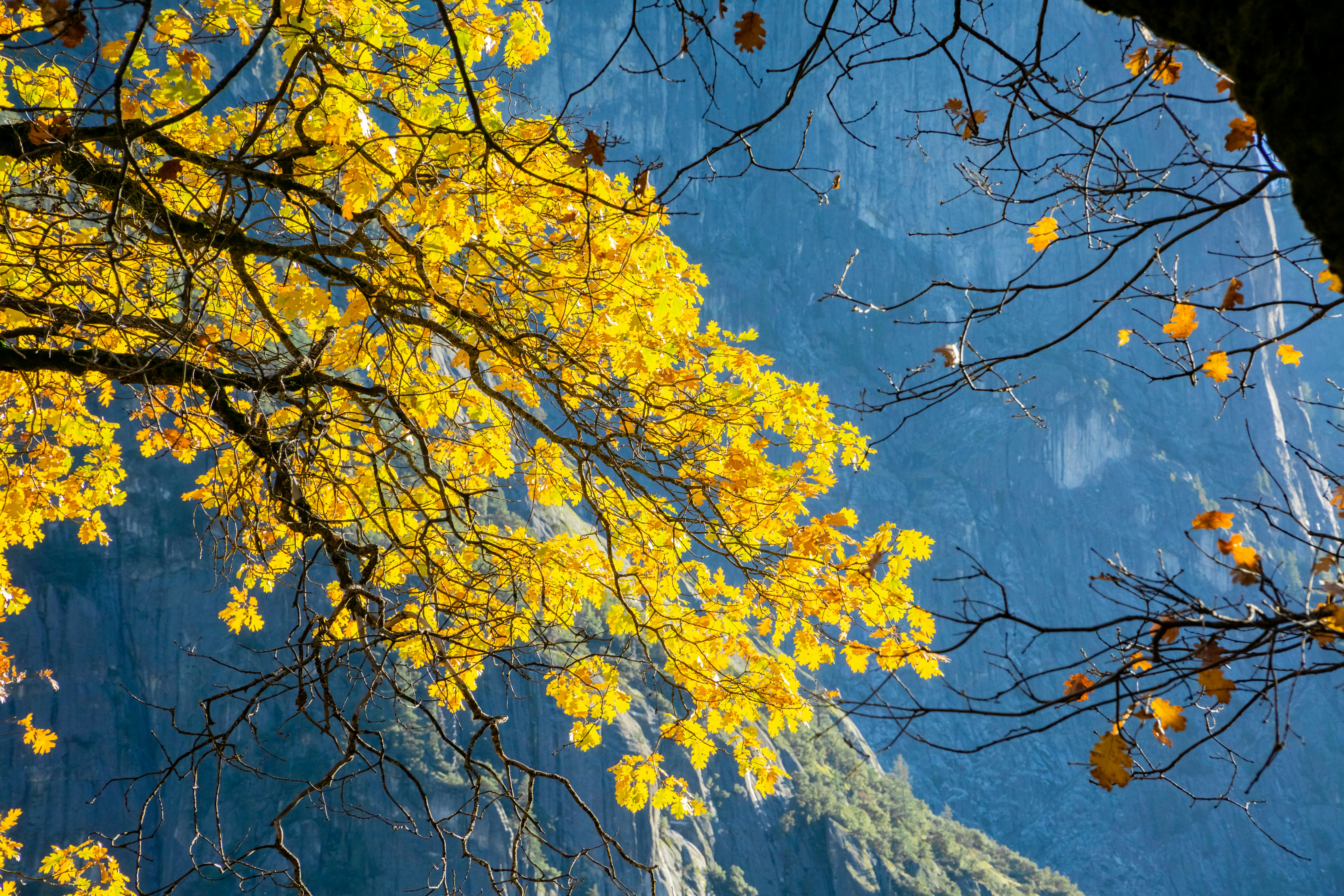 Photo by spencer_demera