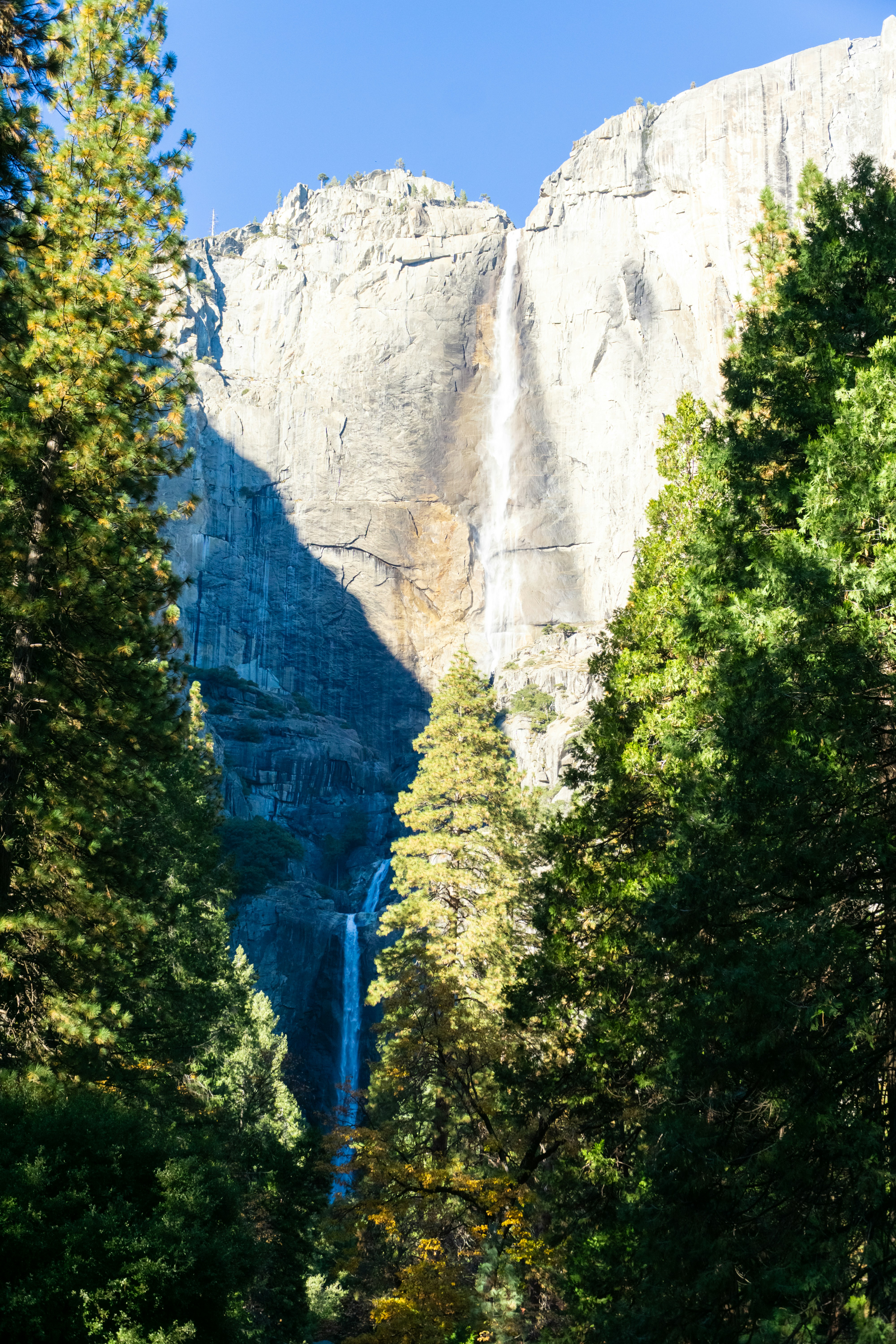 une vue sur une cascade à travers les arbres