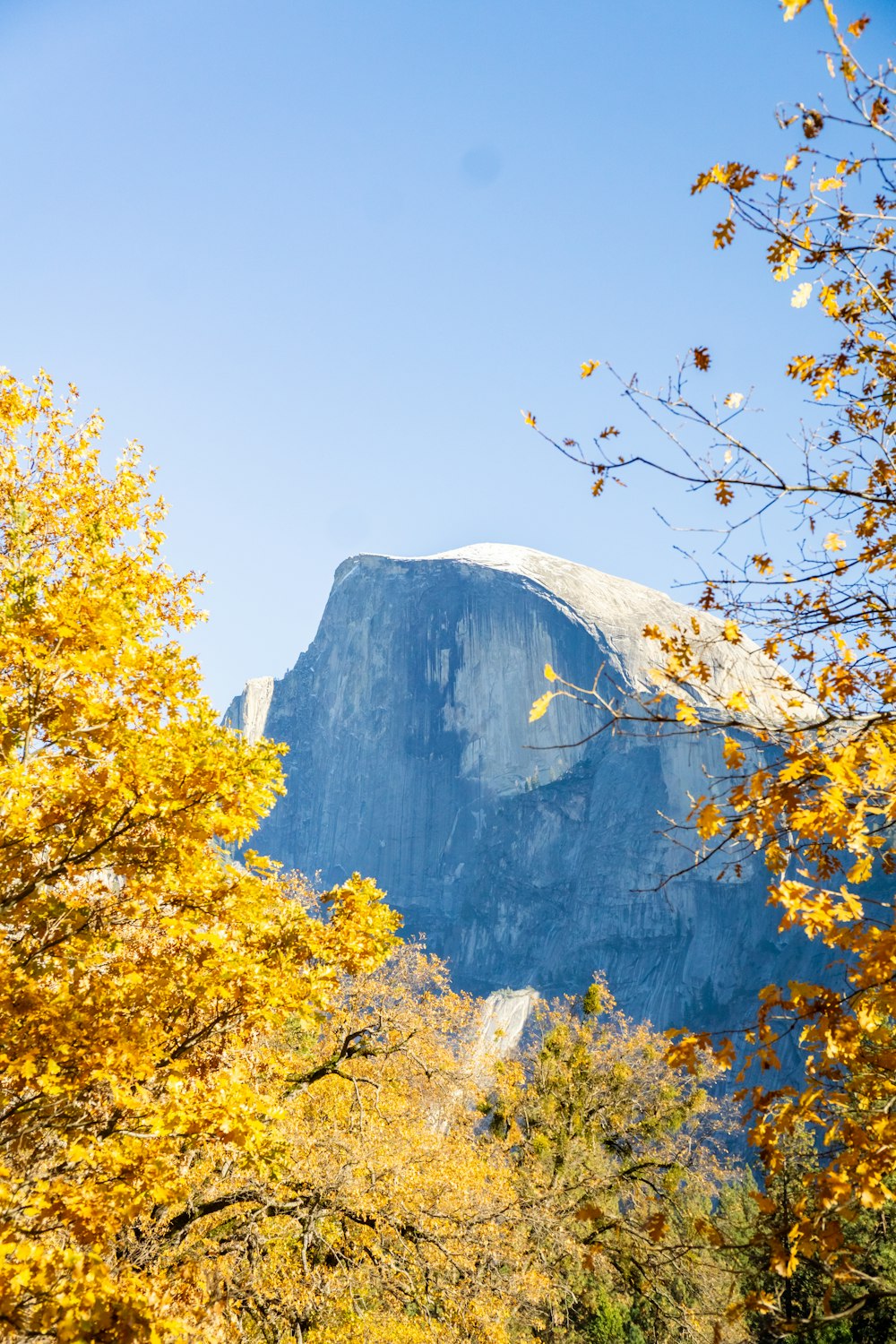 uma vista de uma montanha através das árvores