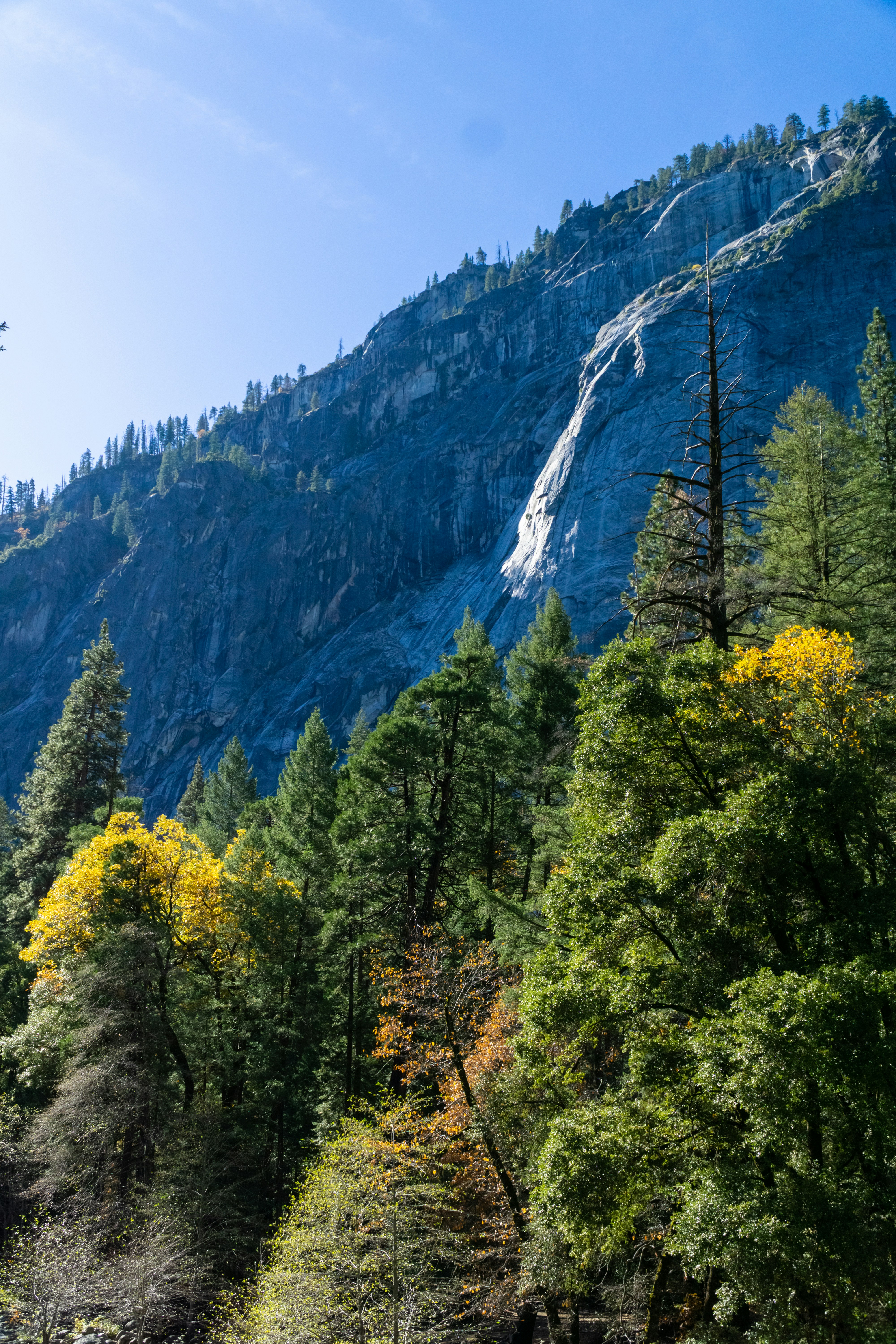 Photo by spencer_demera