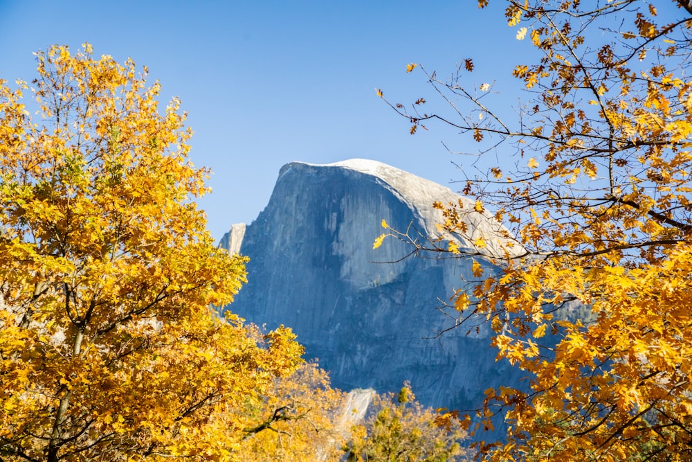 ein hoher Berg, der über einem Wald voller Bäume thront