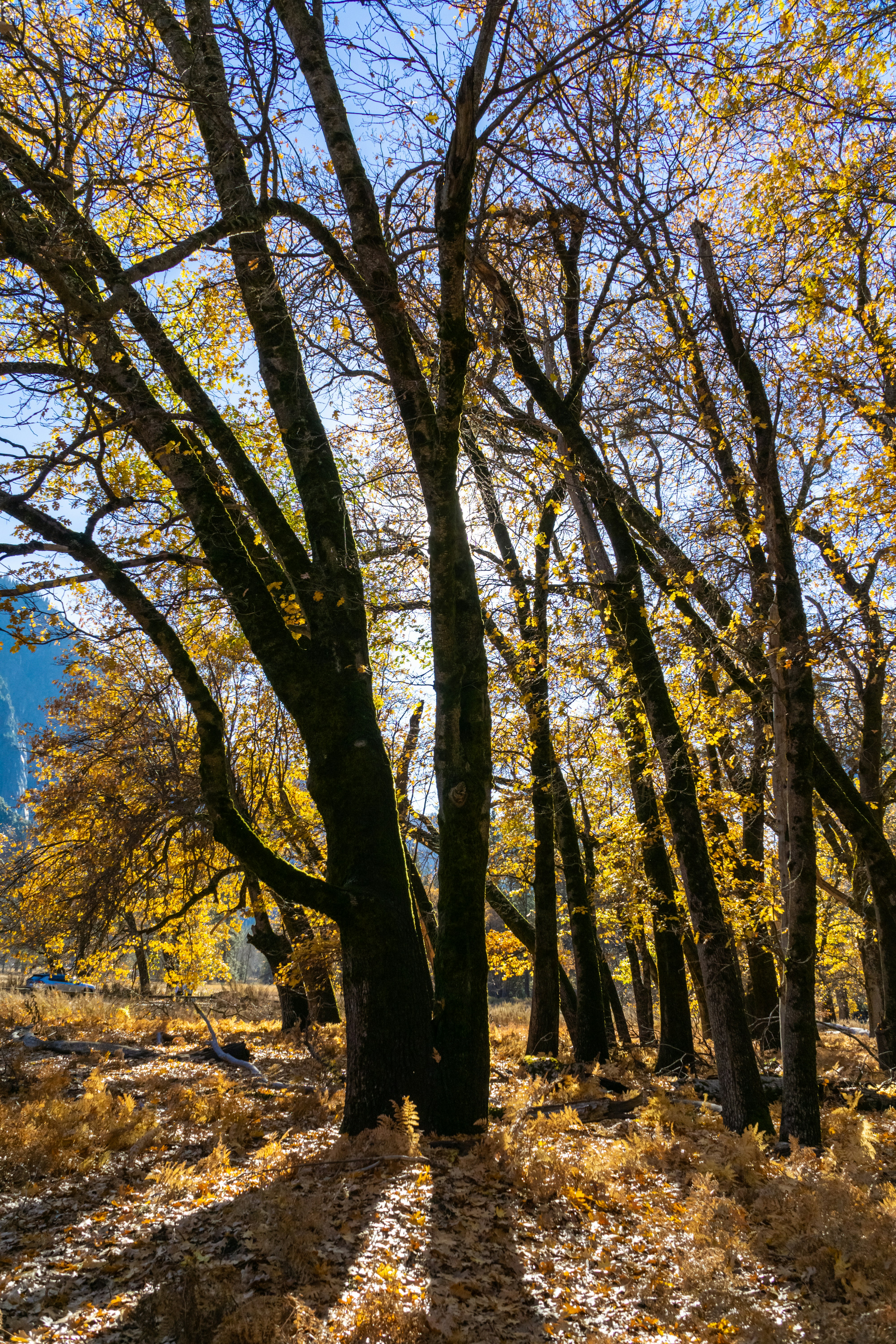 Photo by spencer_demera