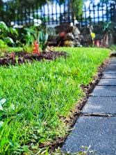 a red fire hydrant sitting on the side of a road