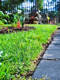 entretien allée jardin gazon nantes paysagiste