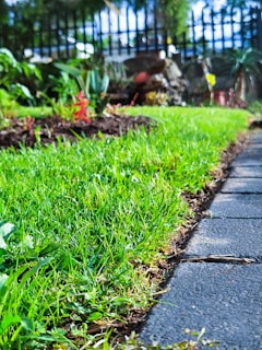 a crisp green lawn with clean edge and adjacent path