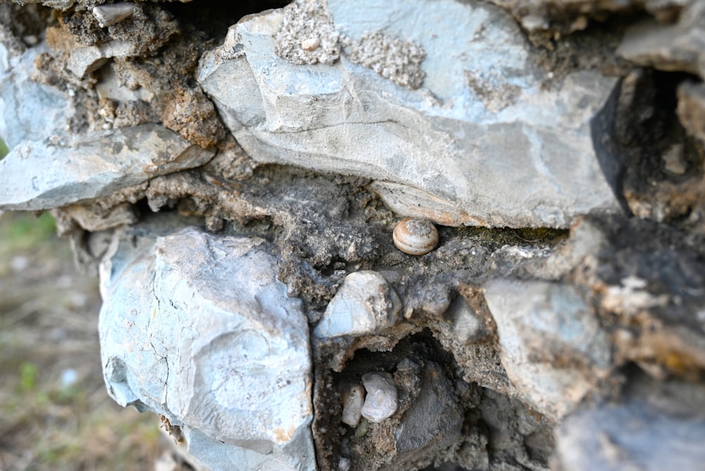 a close up of a rock formation with rocks and dirt