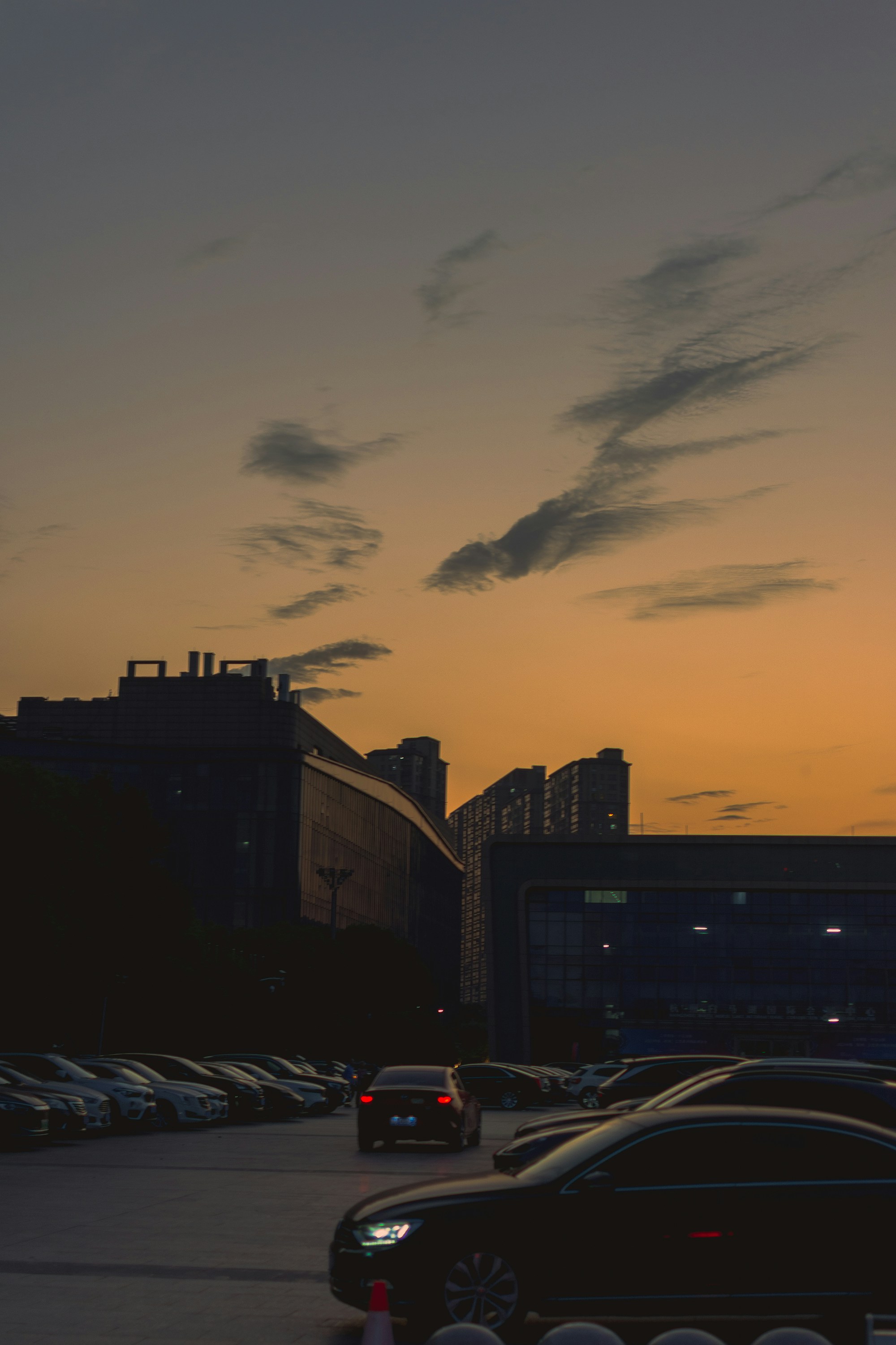 Photo by zyx