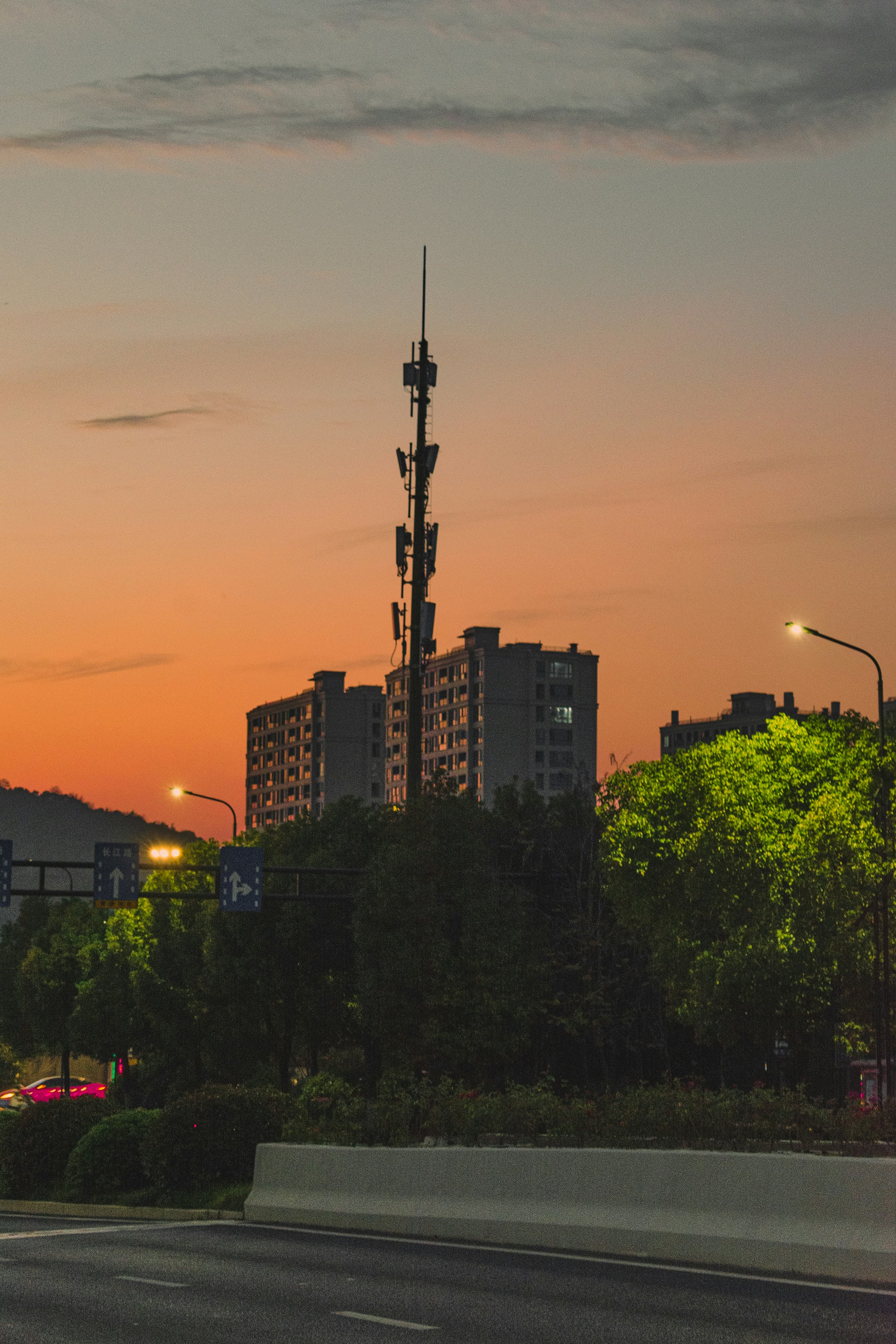 Photo by zyx