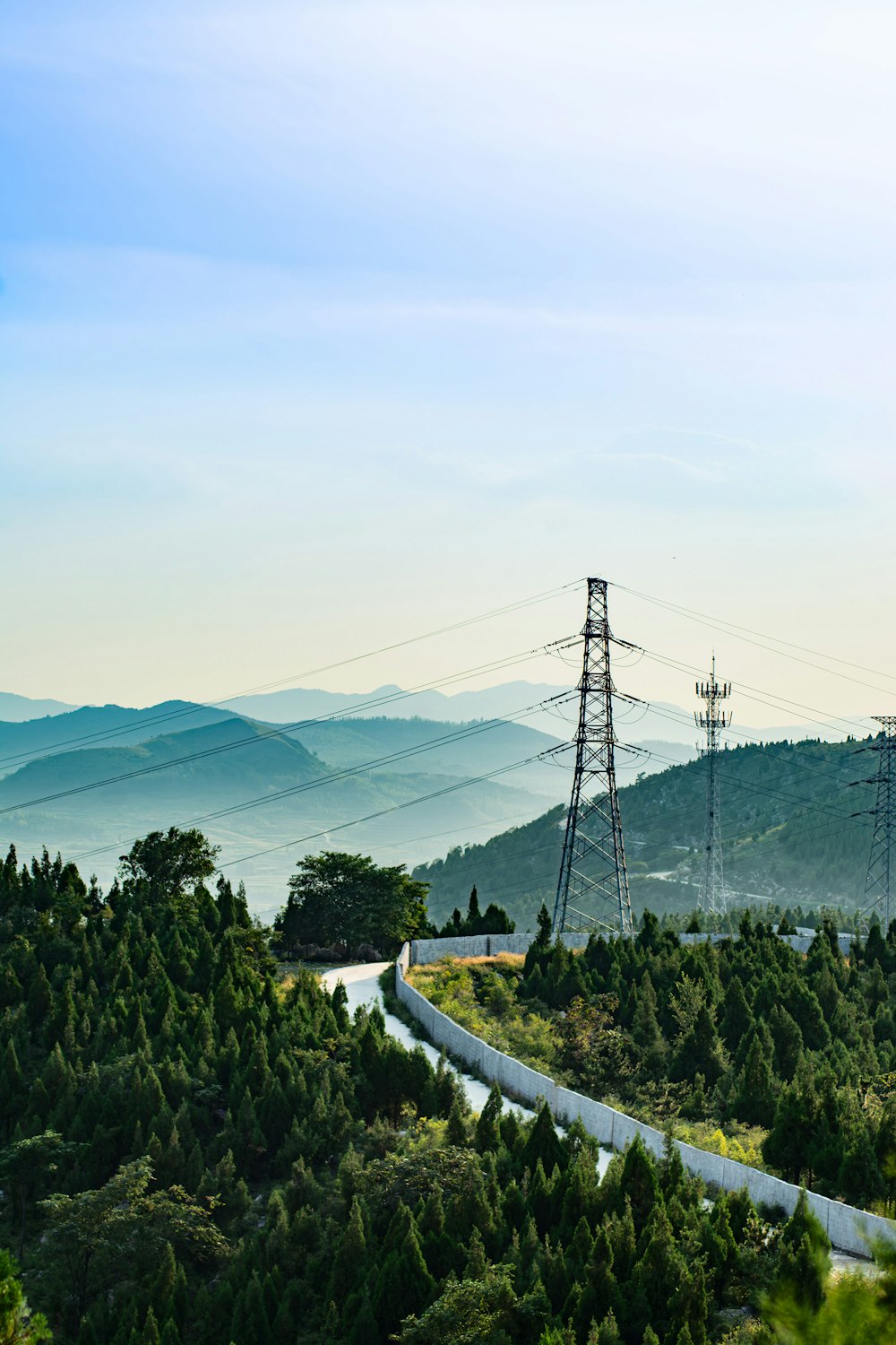 a winding road in the middle of a forest