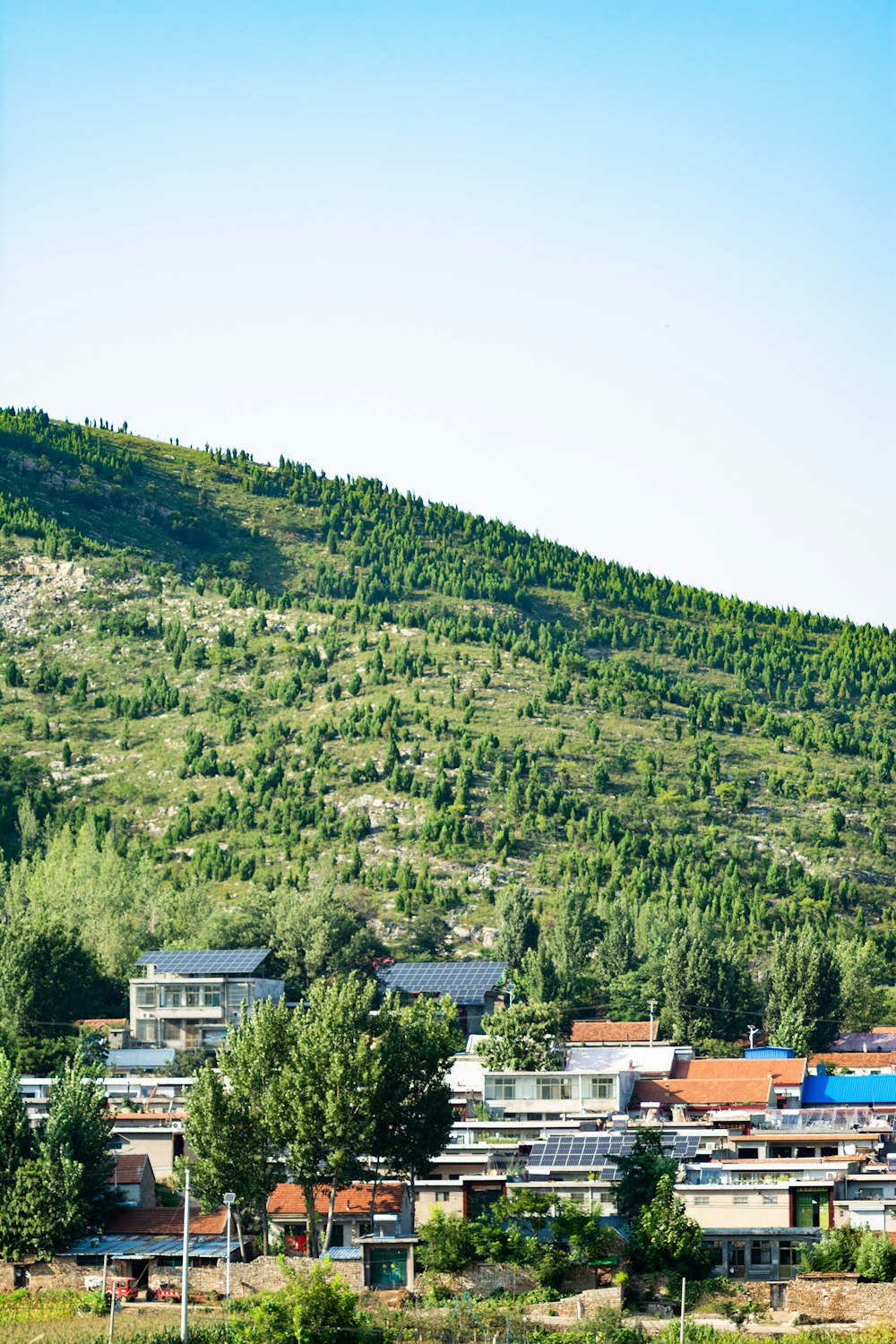 a hillside with houses in the foreground and trees in the background