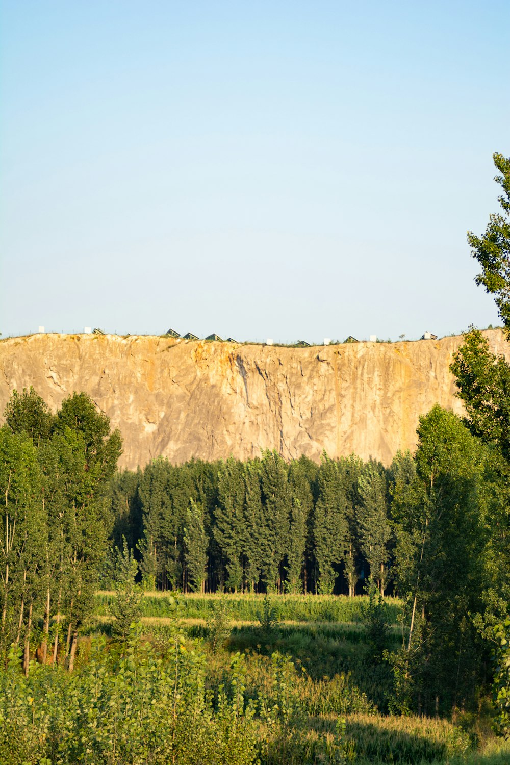 a view of a mountain with trees in the foreground