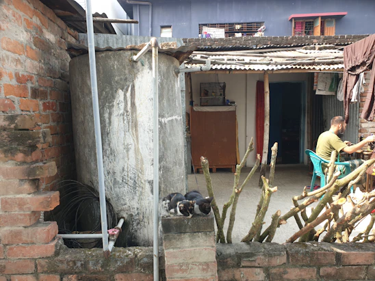 A person assembling a sturdy, portable cat trap in a sunny São Paulo backyard.