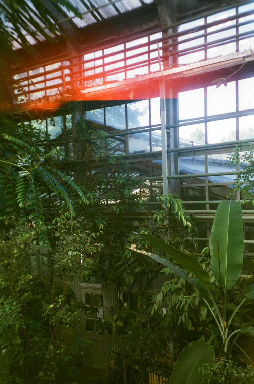 a building that has a lot of plants inside of it