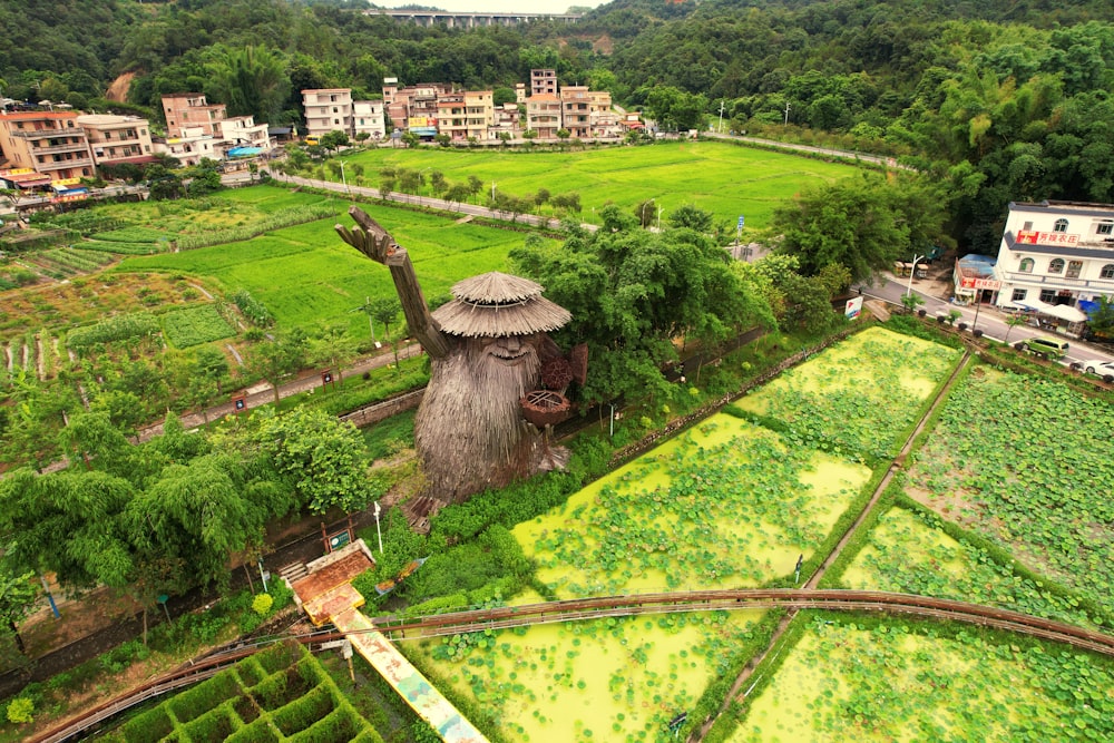 an aerial view of a lush green village