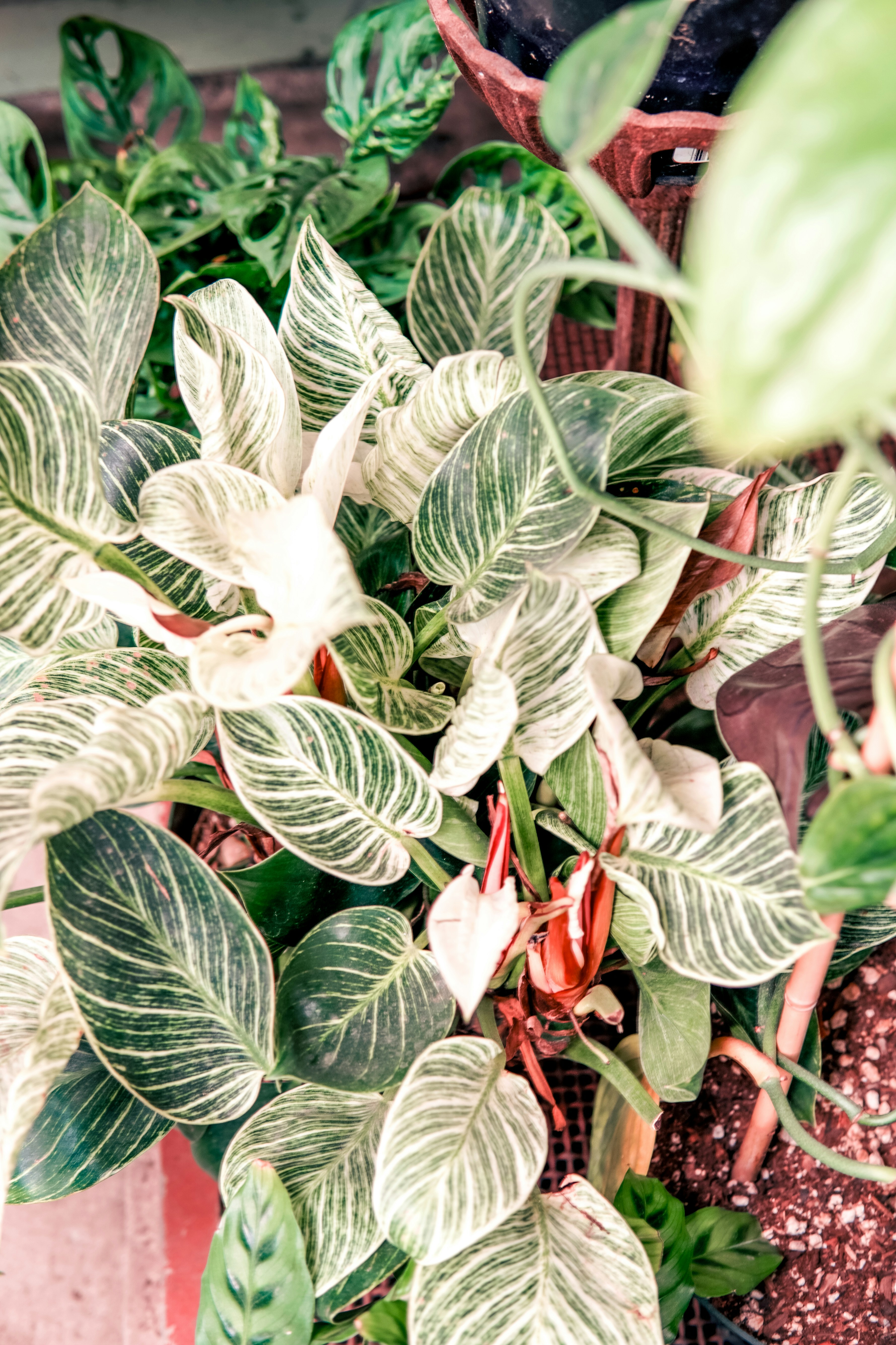 Photo by madeline_sd