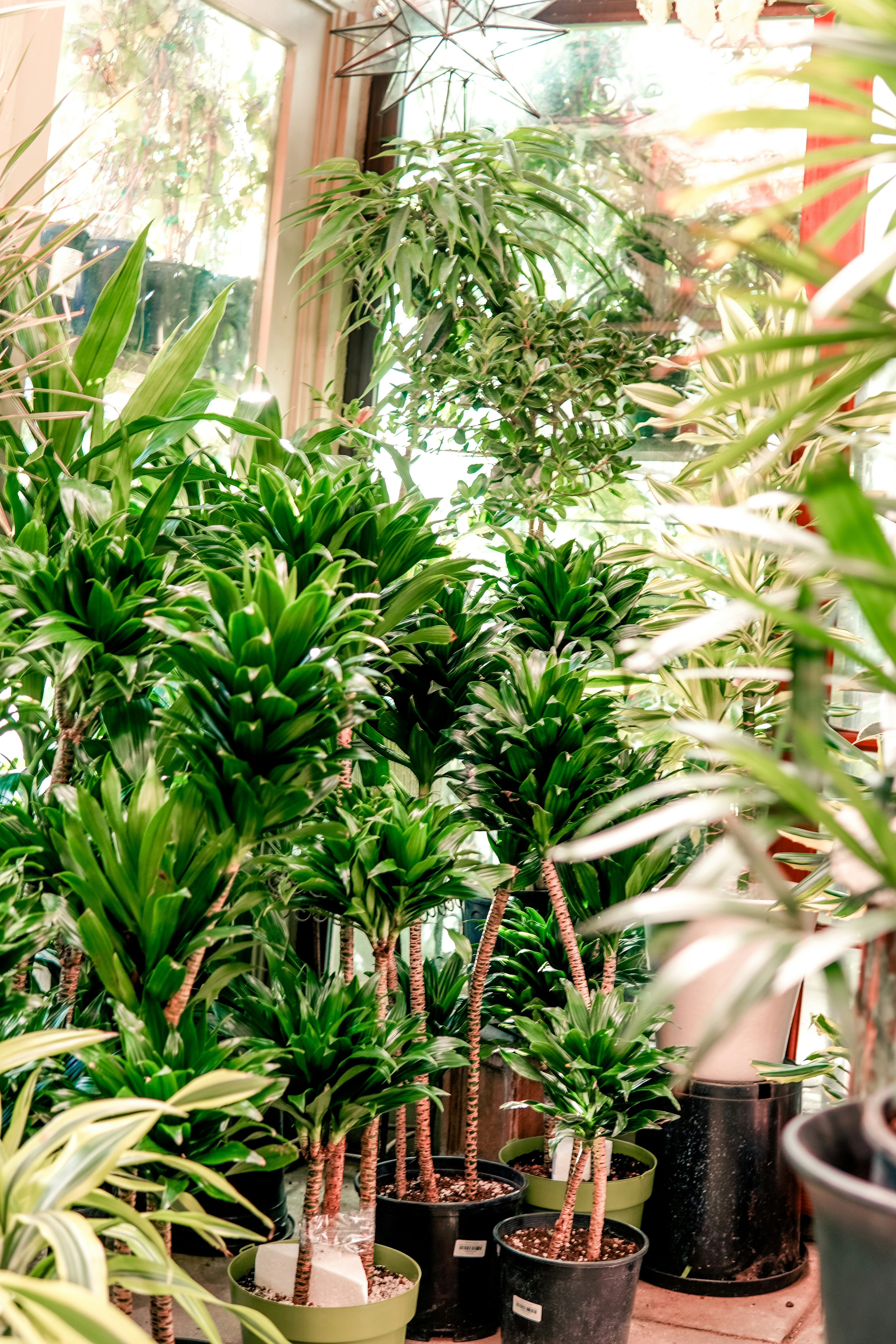 Photo by madeline_sd