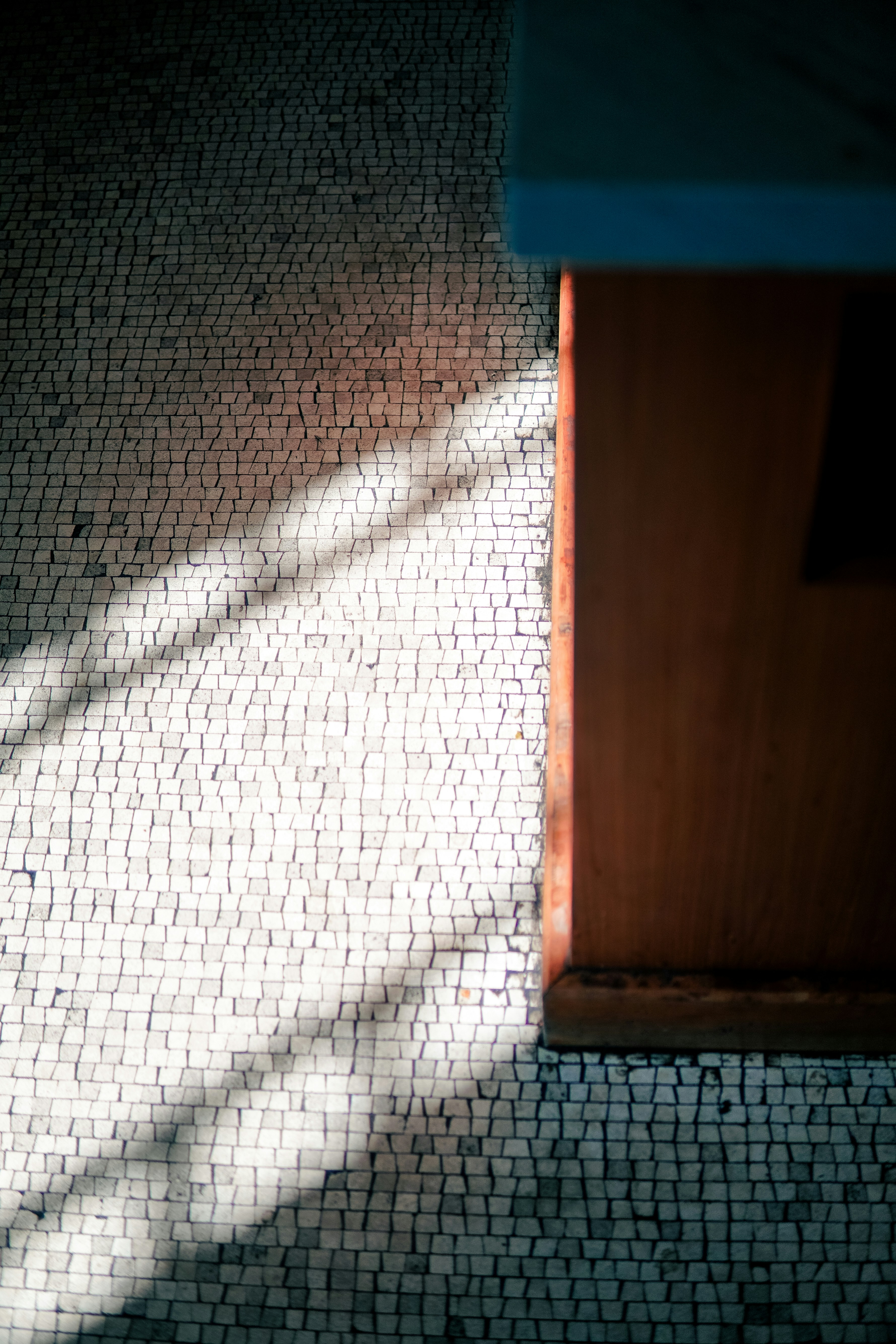 Photo by madeline_sd