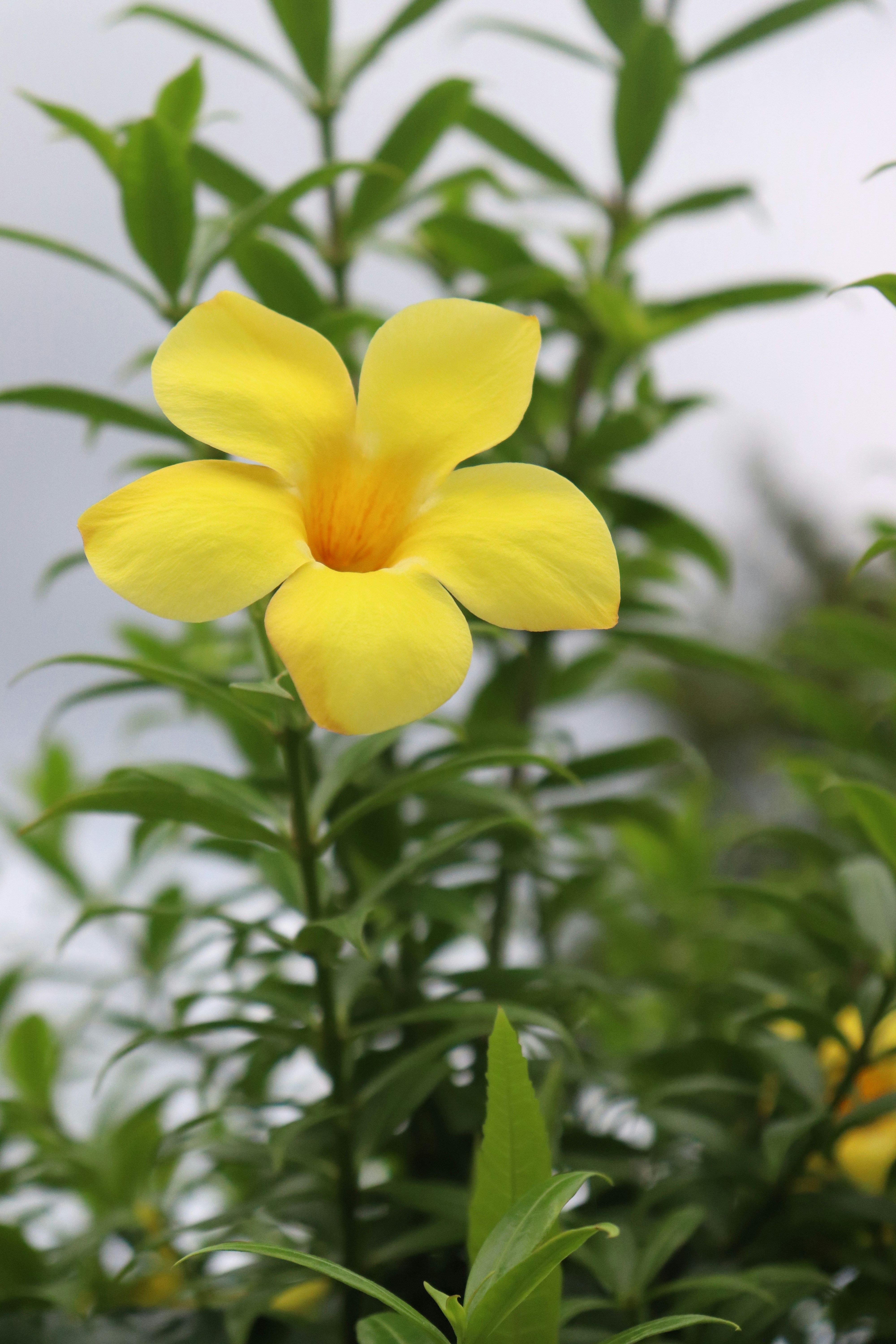 Photo by shmilydigitalphotography