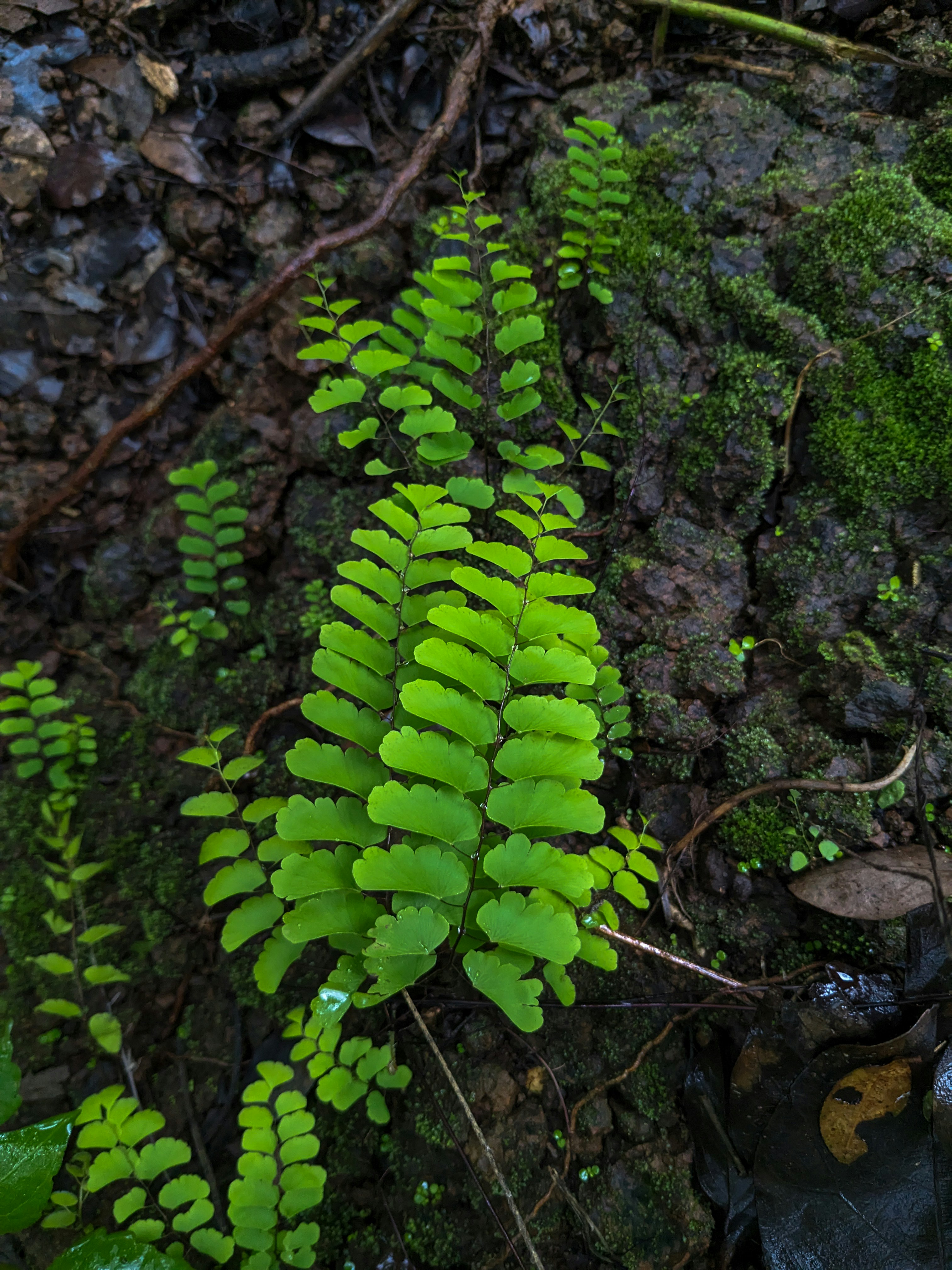 Photo by abhay_paditkar