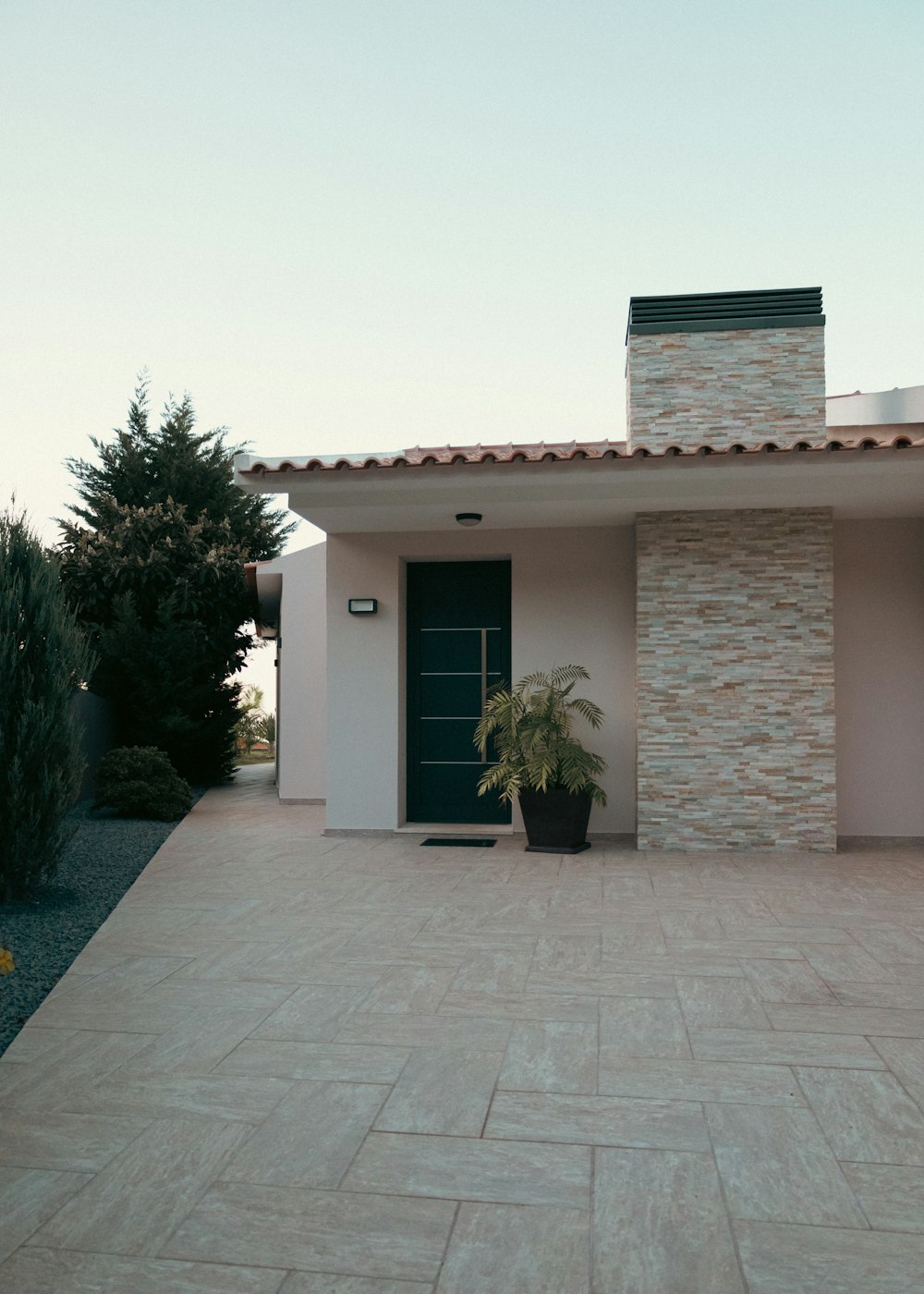 a house with a plant in front of it