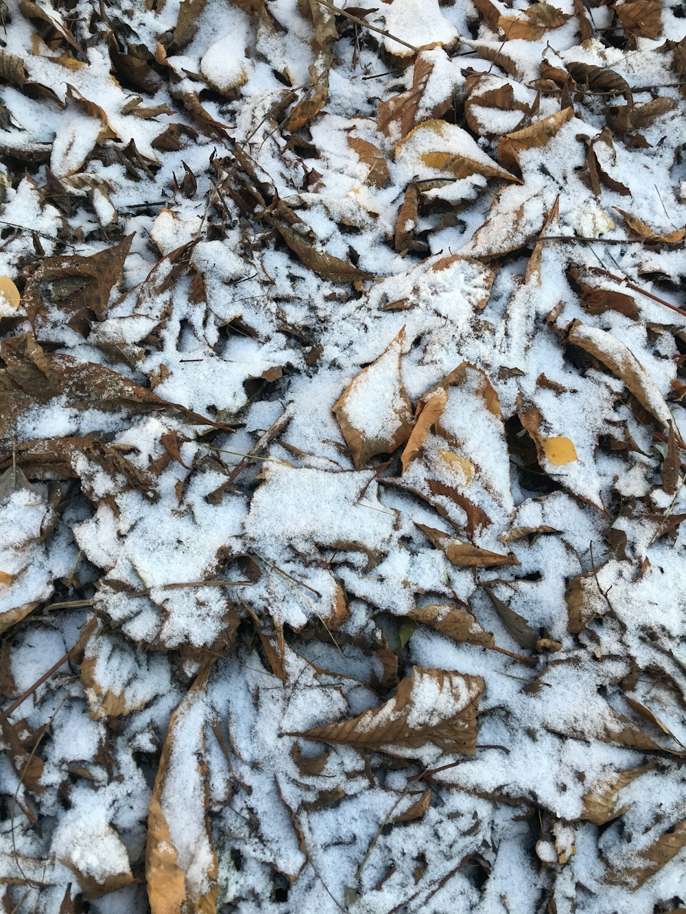 a bunch of snow that is on the ground