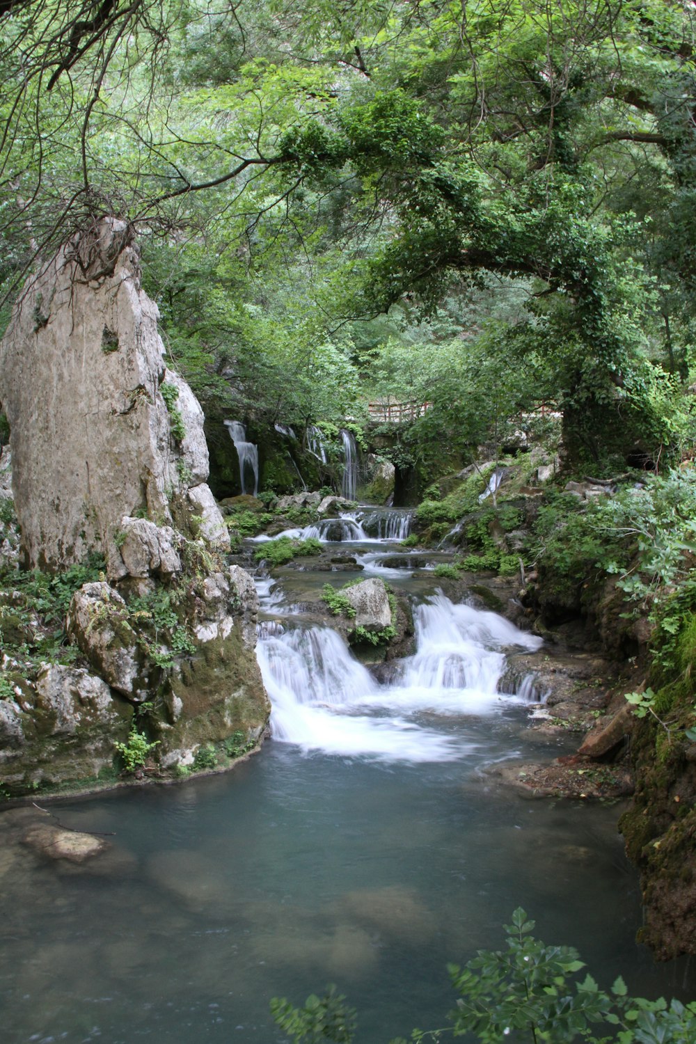 a small waterfall running through a lush green forest