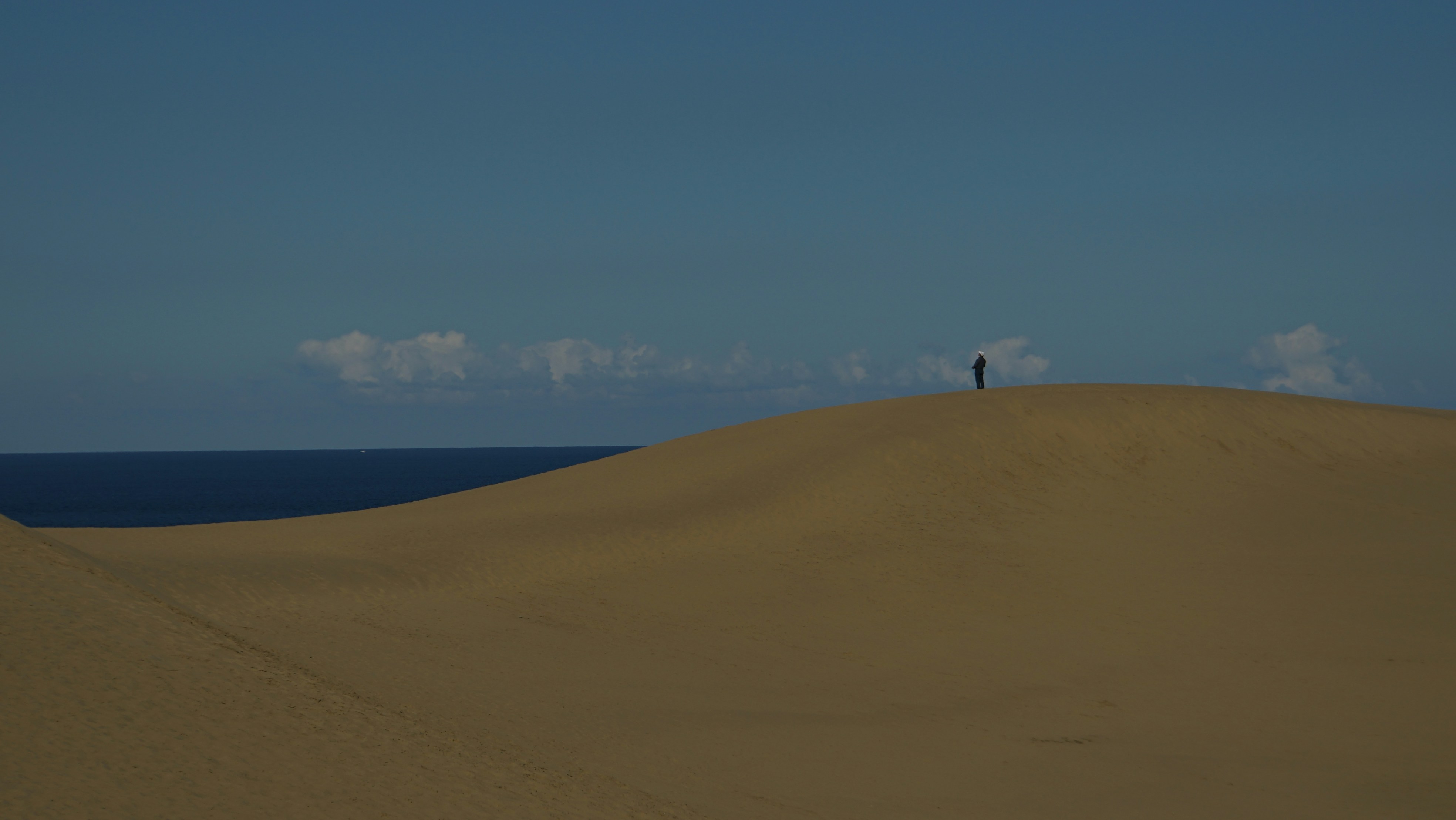 a person standing on top of a sand dune