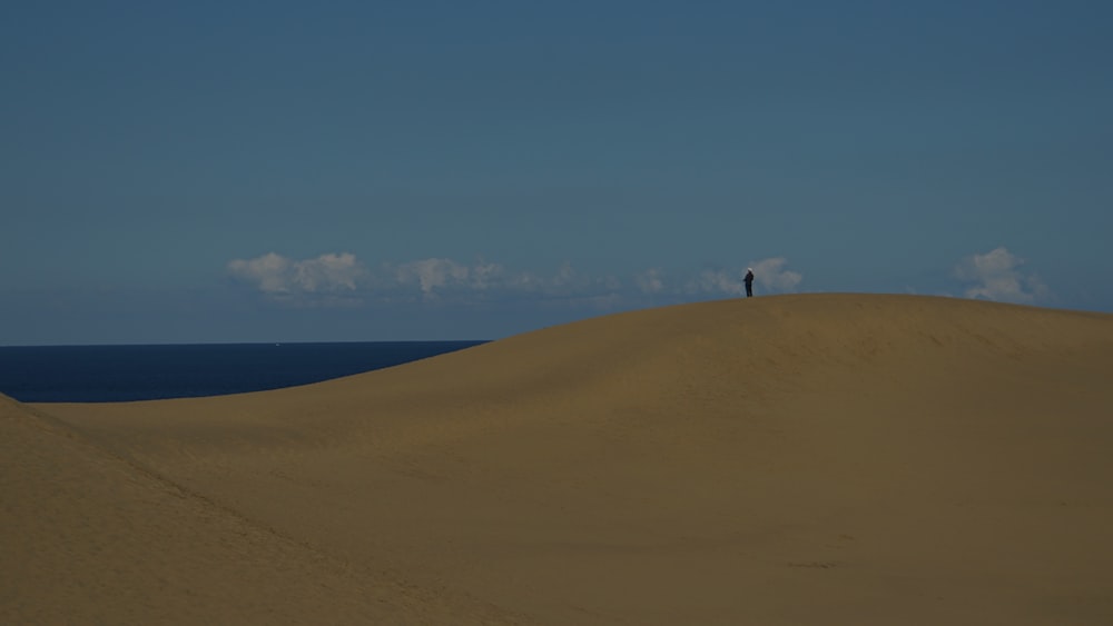 a person standing on top of a sand dune