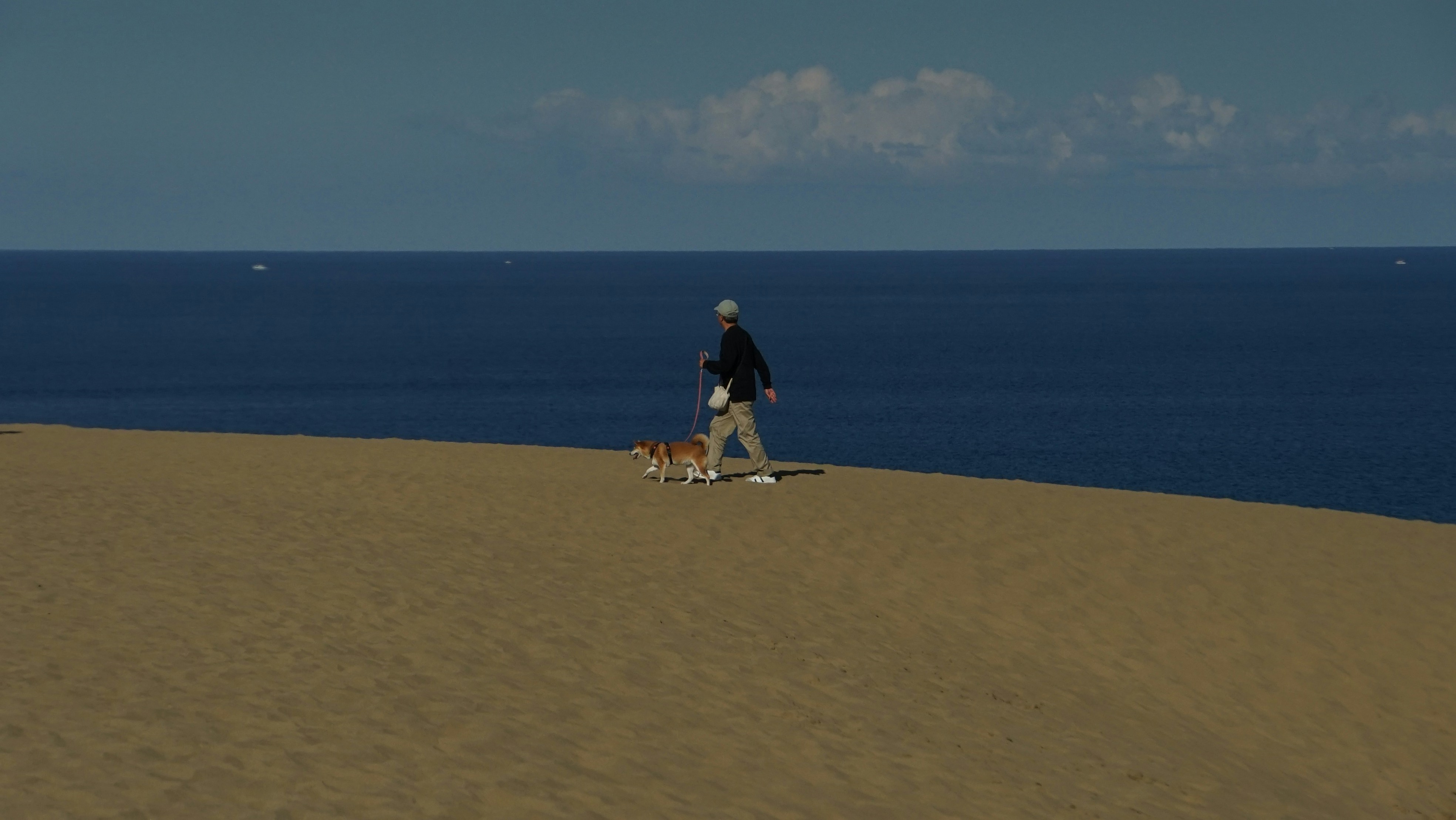 a man walking a dog on a beach next to the ocean