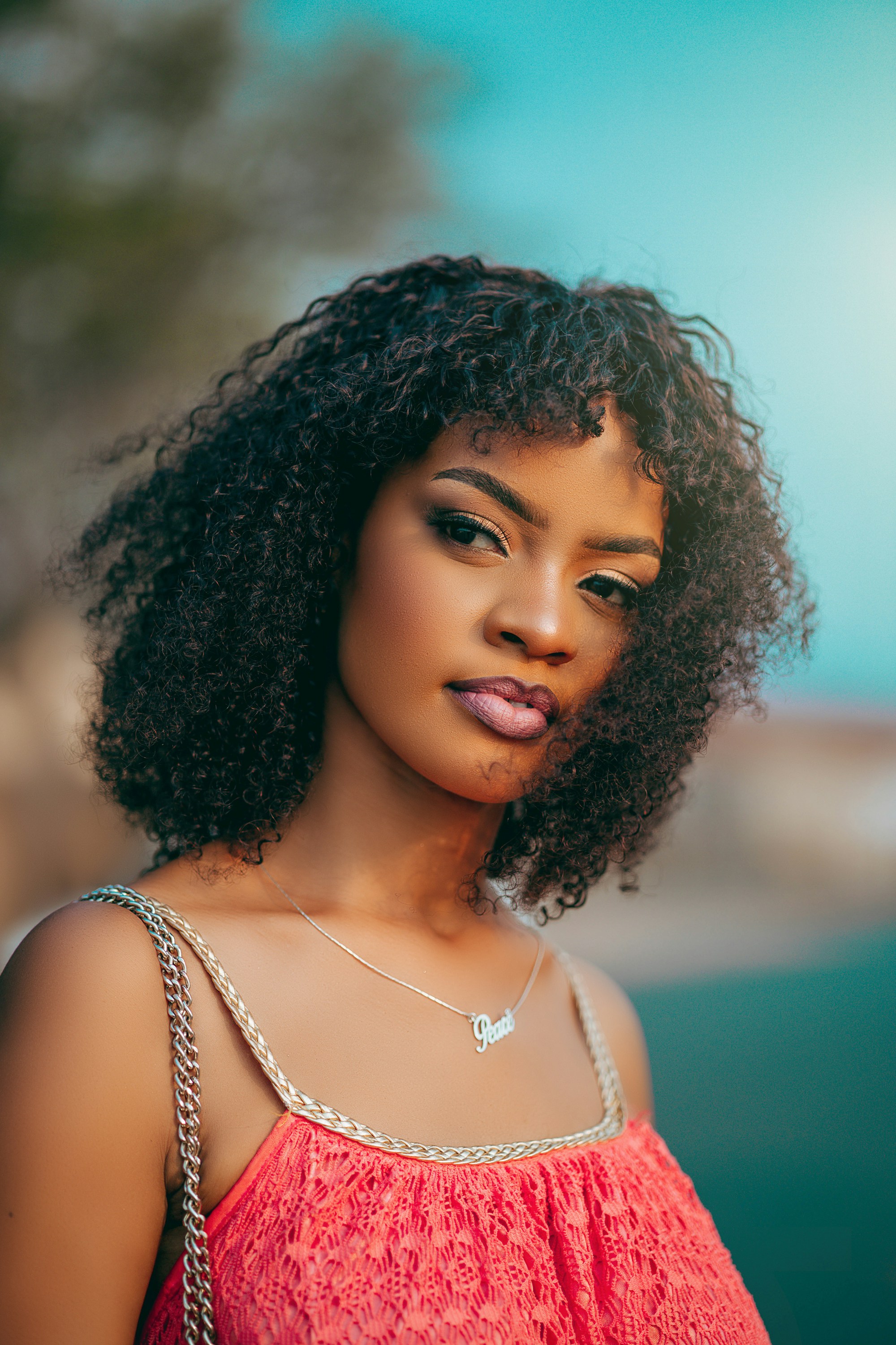 Article illustration 3