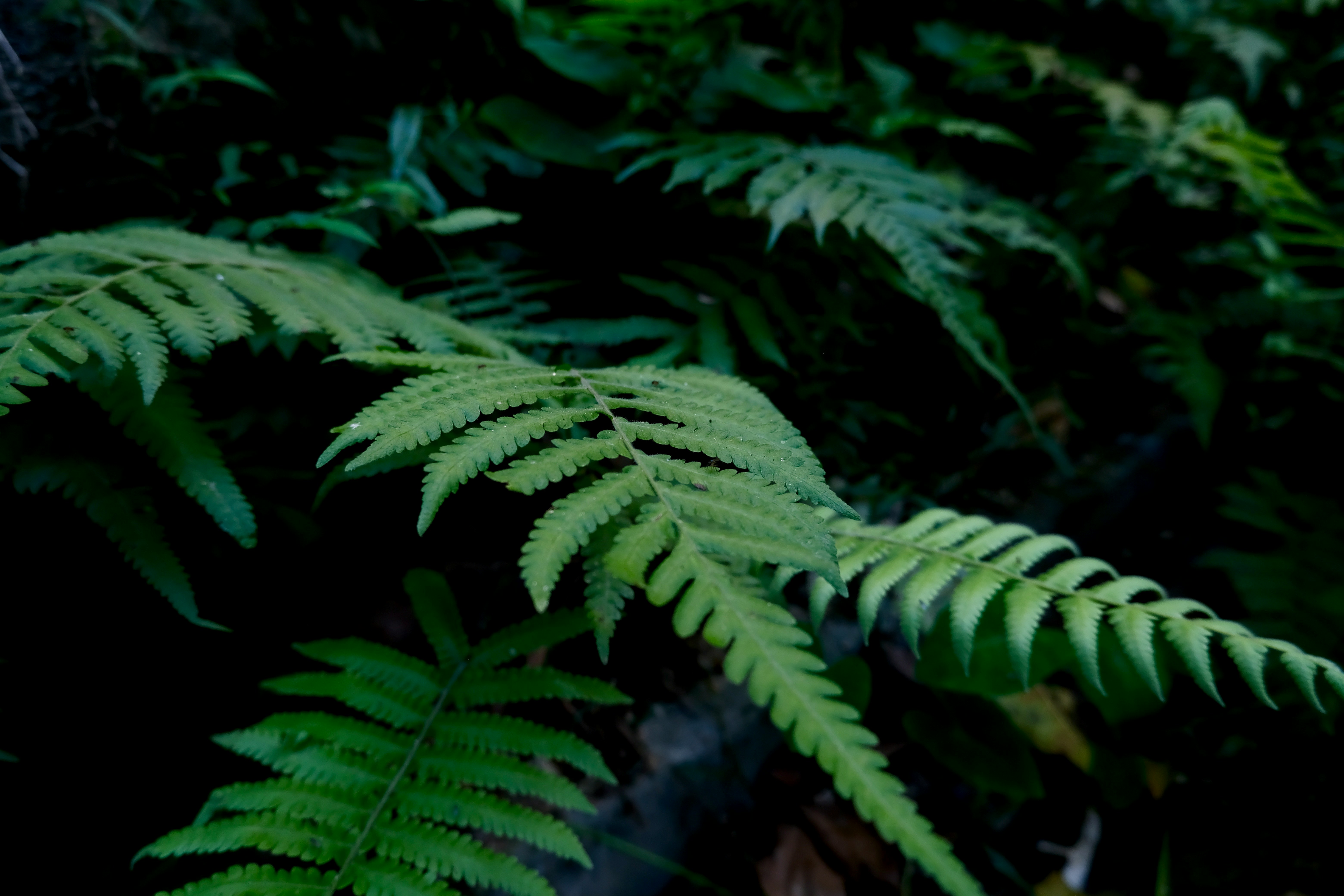 Photo by seanwuphoto