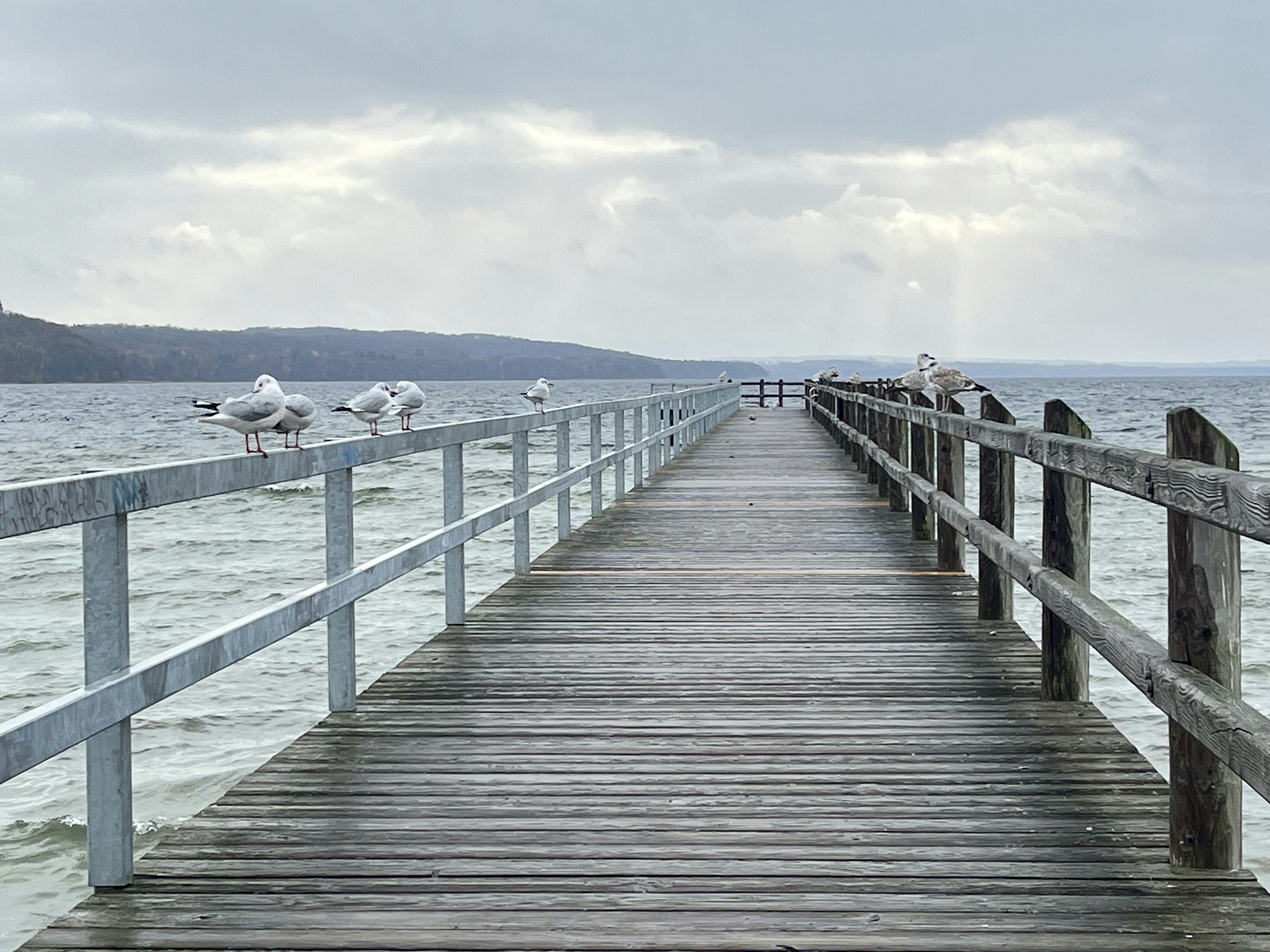 Photo by kagou_dicko