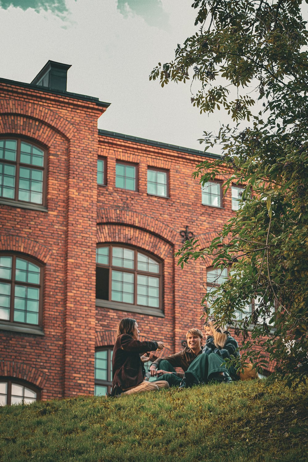 a group of people sitting on top of a lush green hillside