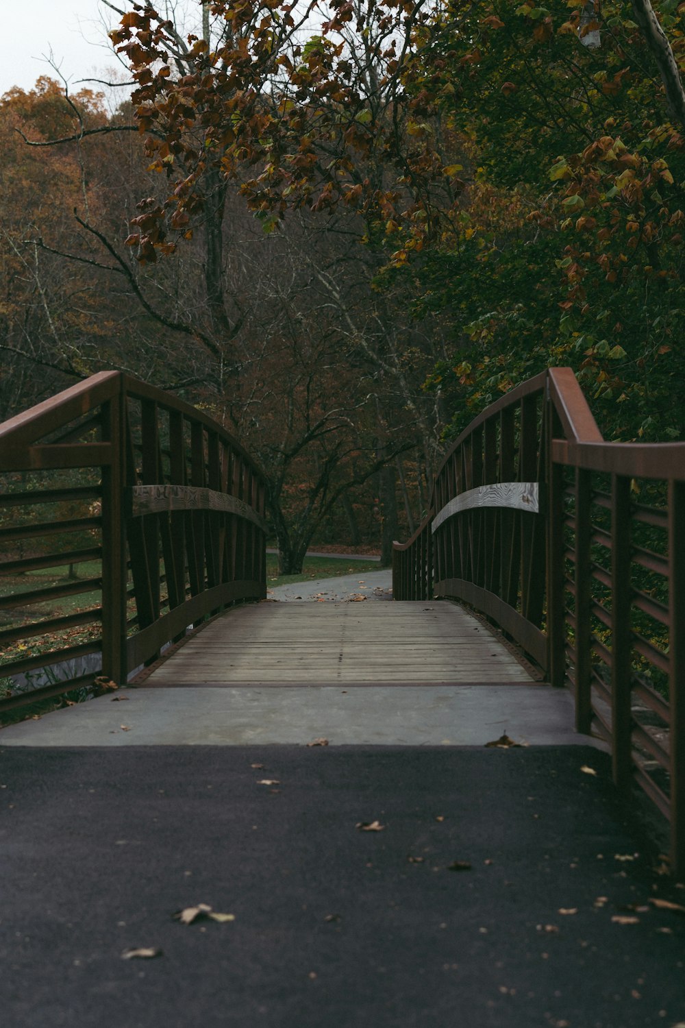 a wooden bridge over a river surrounded by trees