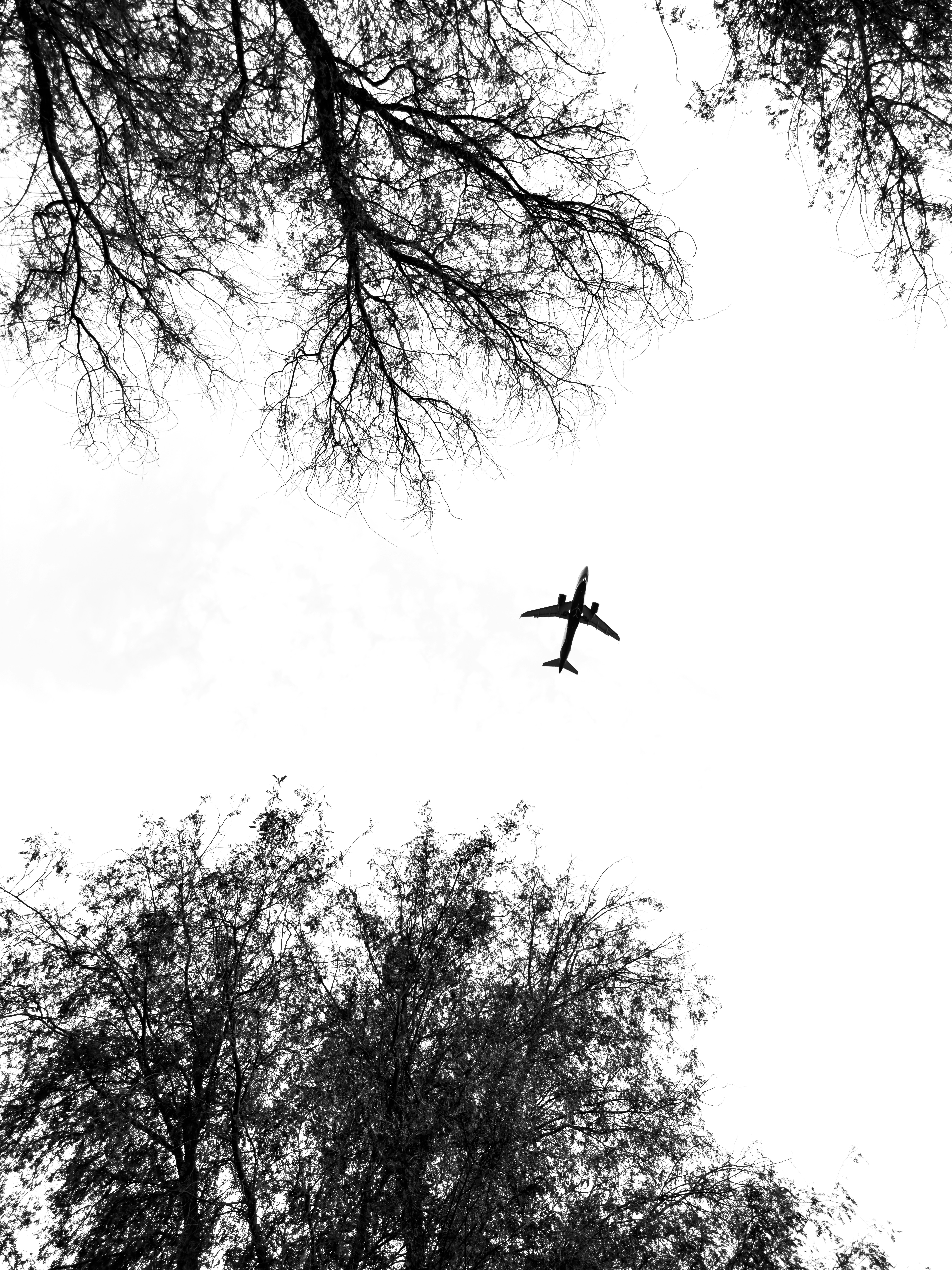 Photo by walidphotos