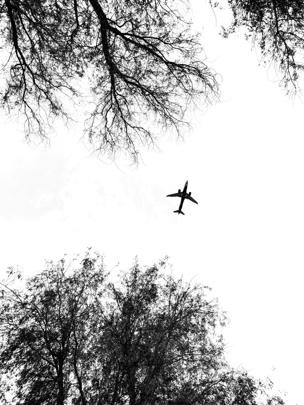 an airplane is flying through the sky above the trees