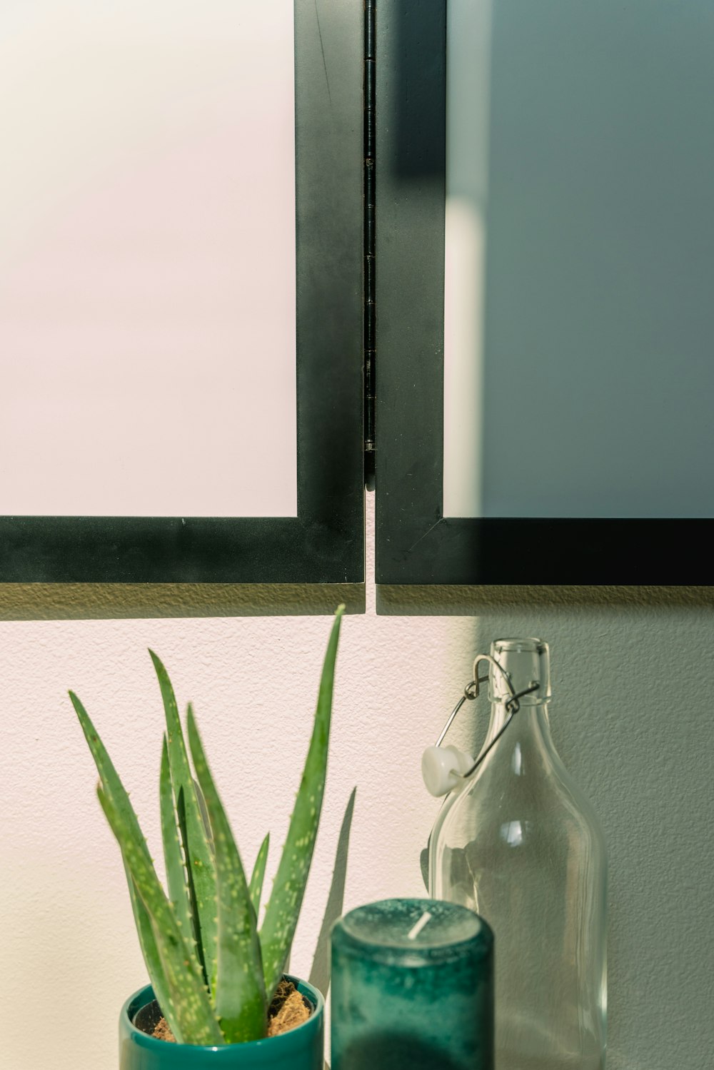 a potted plant sitting next to a mirror