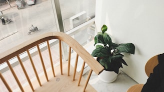 A wooden chair is positioned near a large window overlooking a street with people on motorcycles and cars. A potted green plant is placed on the floor next to the chair against a white wall, adding a touch of nature to the indoor setting.